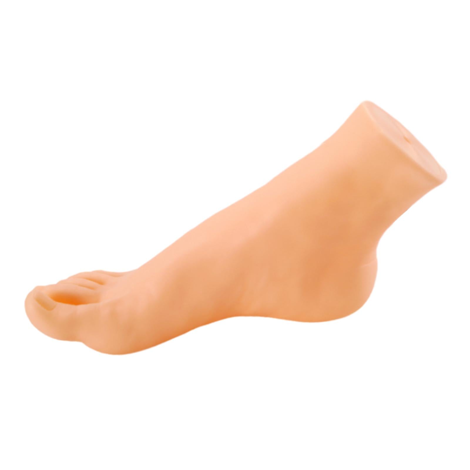 Mannequin Foot Display Durable Lightweight Foot Model for Shop Retail Chains Male Right Foot