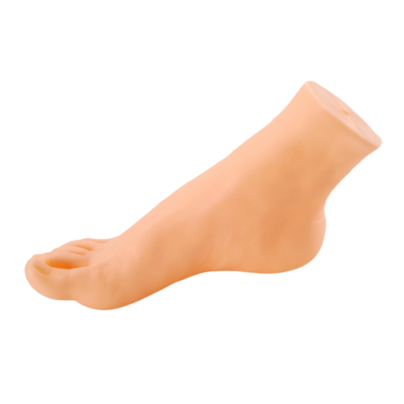 Mannequin Foot Display Durable Lightweight Foot Model for Shop Retail Chains Male Right Foot