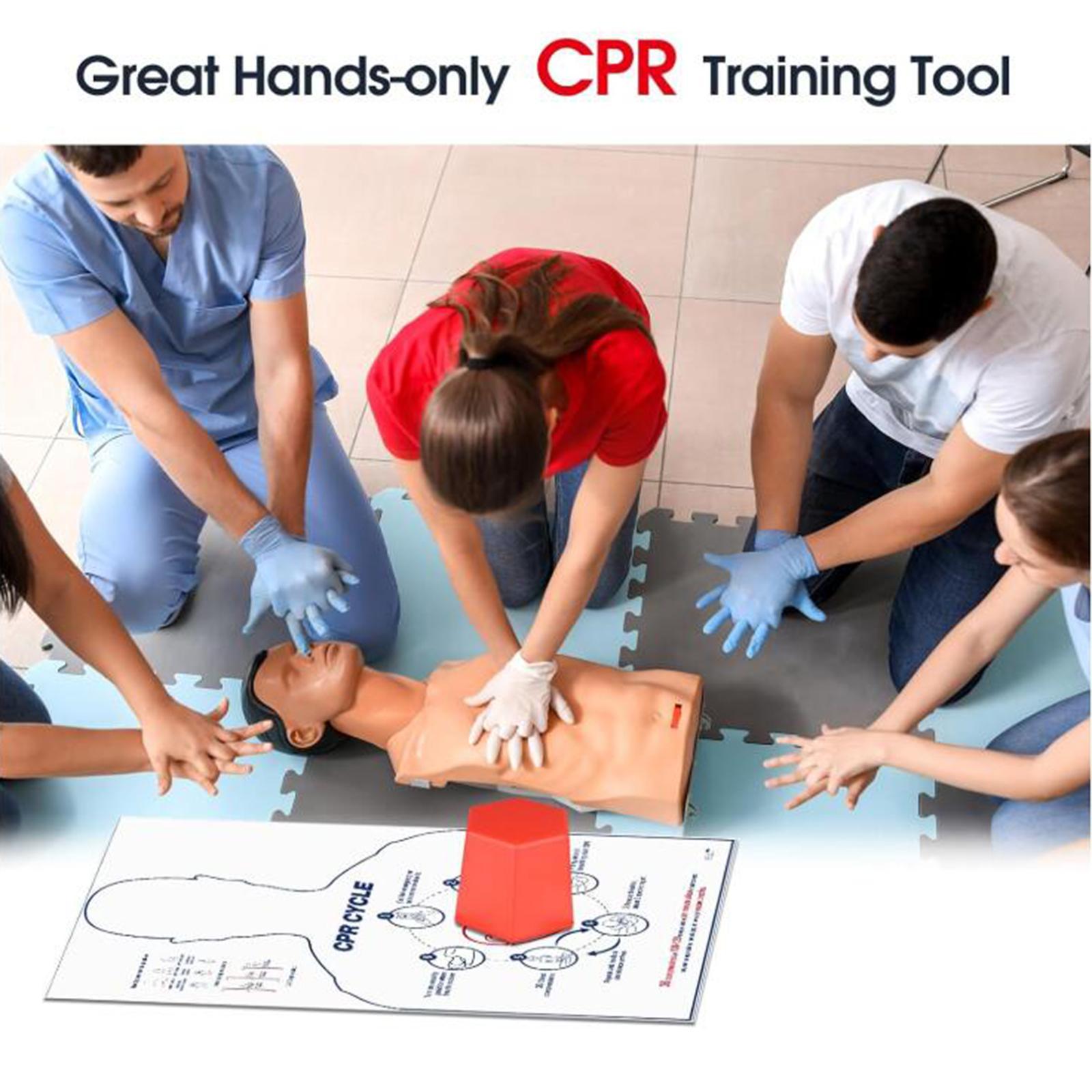CHEST Compression Training Model Aid Instructors First Aid Training Tool