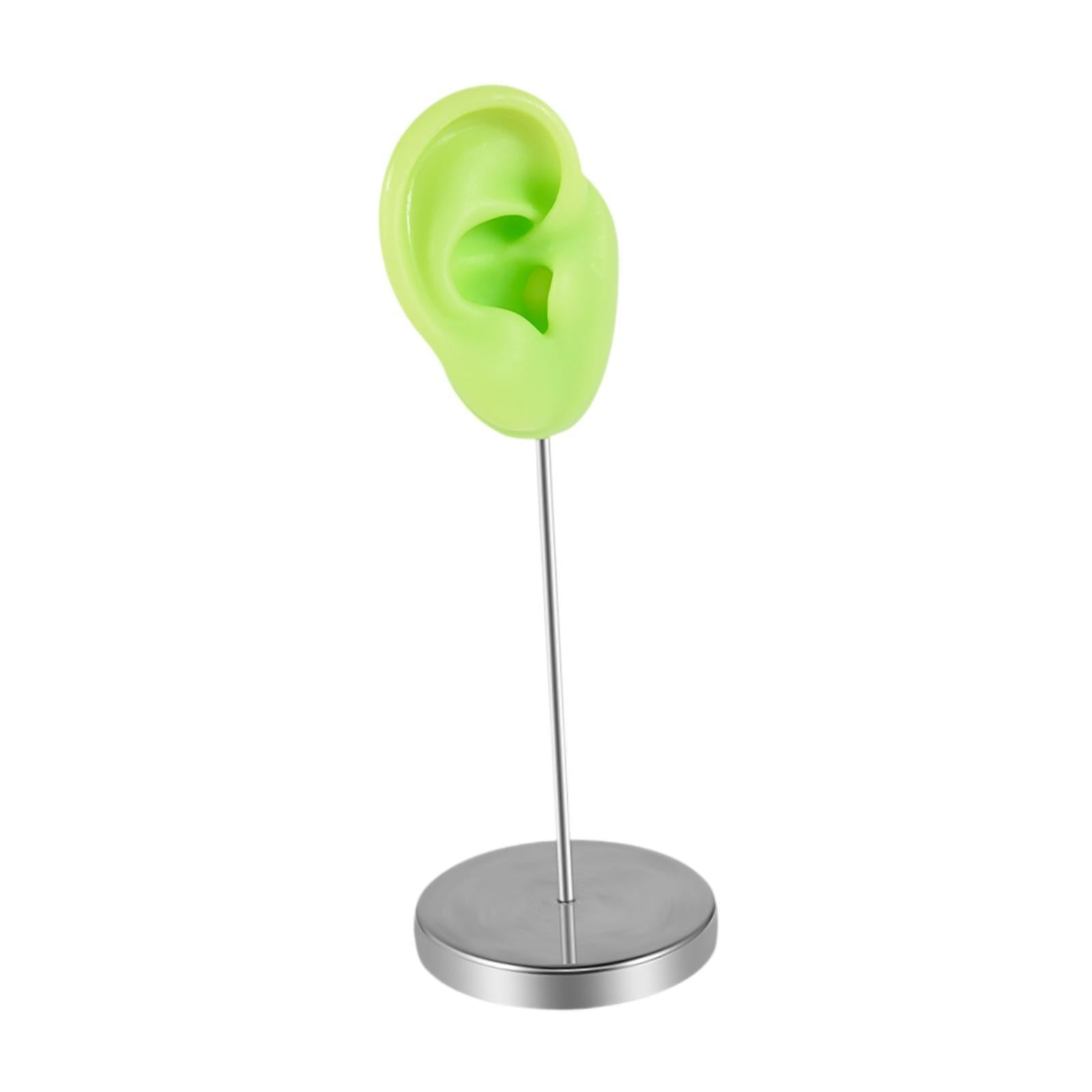 Earring Display Stand Jewelry Holder Teaching Tool Photos Silicone Ear Model Right