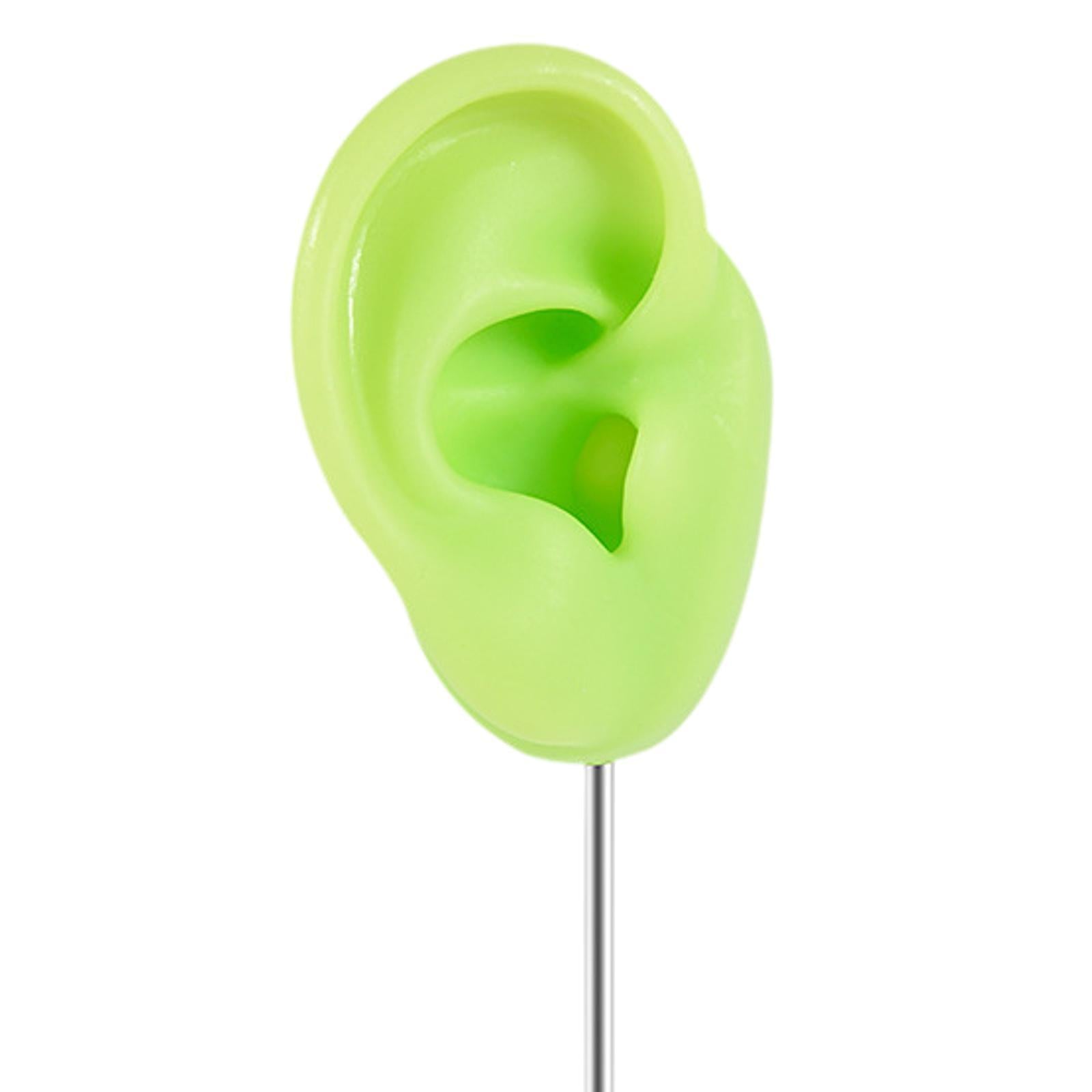 Earring Display Stand Jewelry Holder Teaching Tool Photos Silicone Ear Model Right