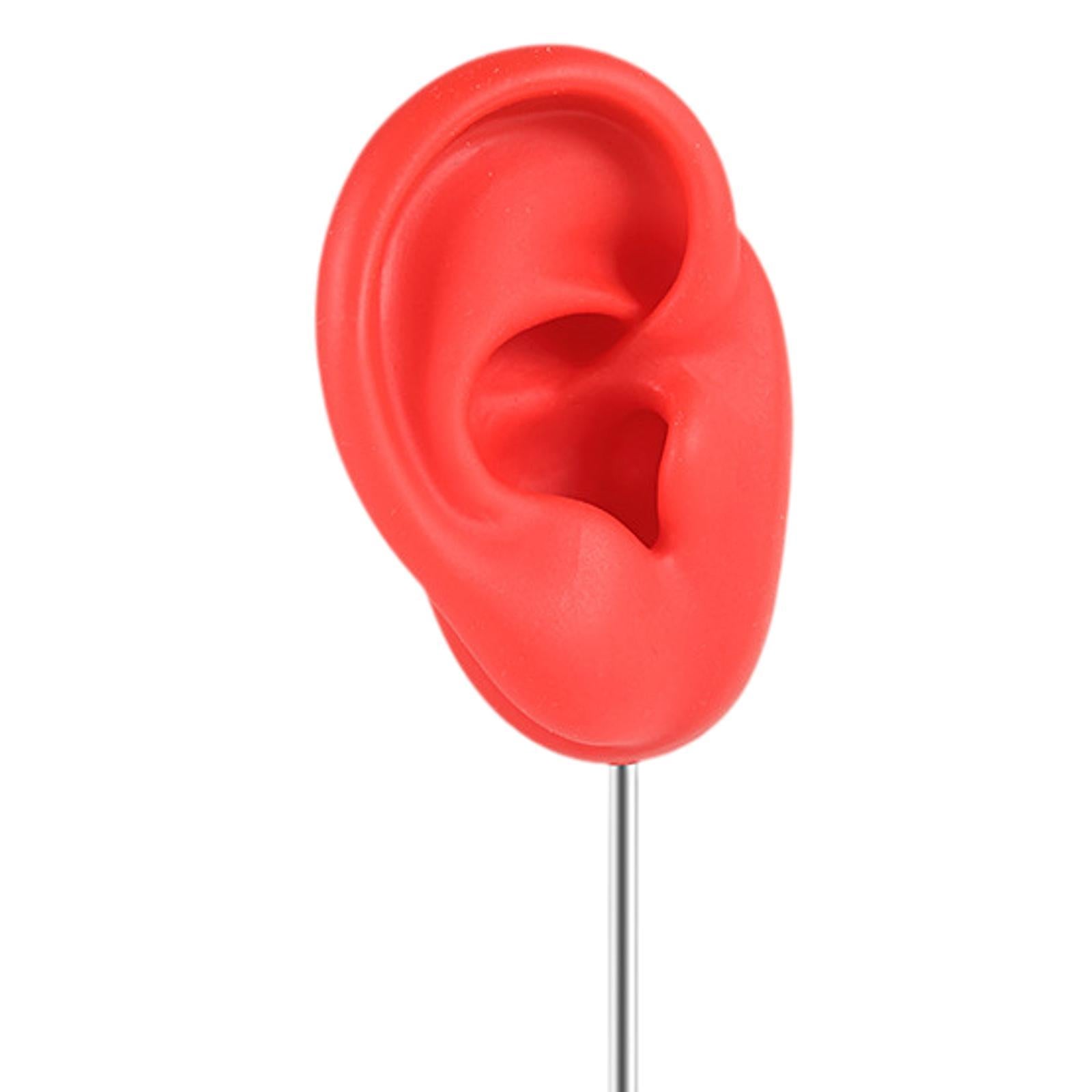 Silicone Ear Model Organizer Reusable Realistic Earring Display Stand Holder Red Right