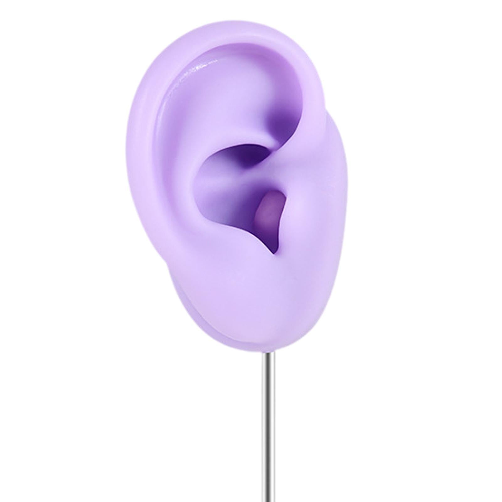 Silicone Ear Model Organizer Reusable Realistic Earring Display Stand Holder Purple Right