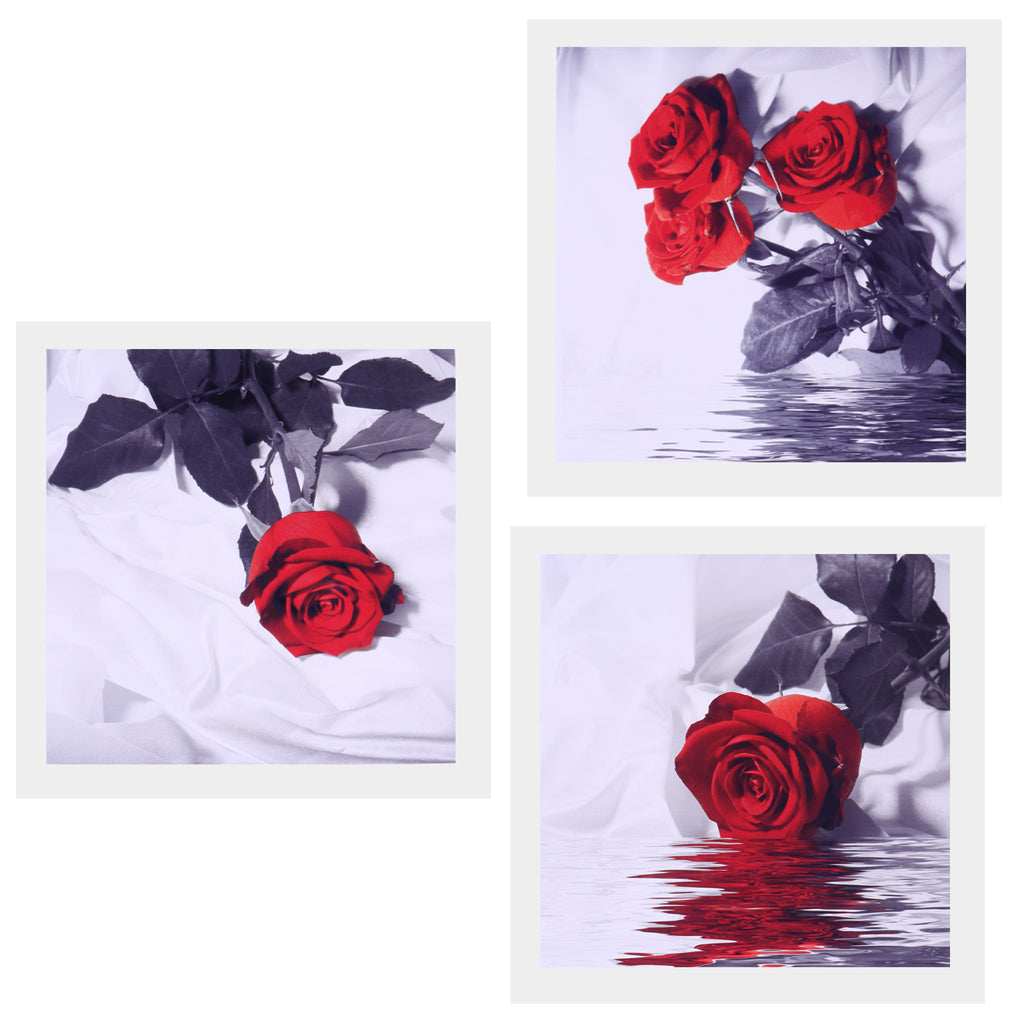 3 Panel Oil Print Painting on Canvas, Rose In Water, Wall Artwork Pictre Painting for Living Room Bedroom Decor