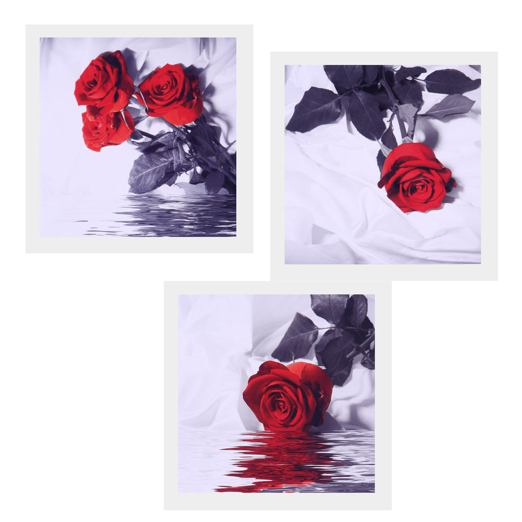 3 Panel Oil Print Painting on Canvas, Rose In Water, Wall Artwork Pictre Painting for Living Room Bedroom Decor