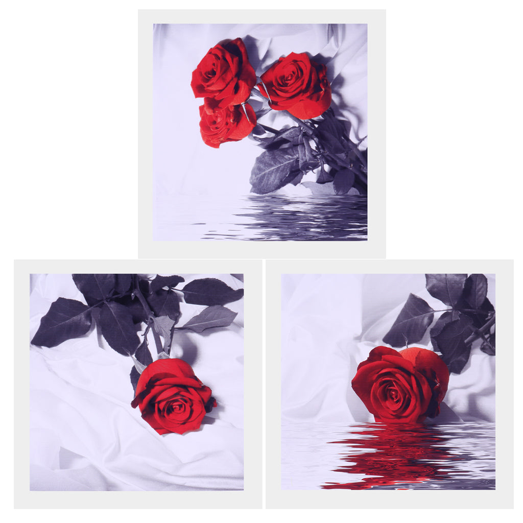 3 Panel Oil Print Painting on Canvas, Rose In Water, Wall Artwork Pictre Painting for Living Room Bedroom Decor