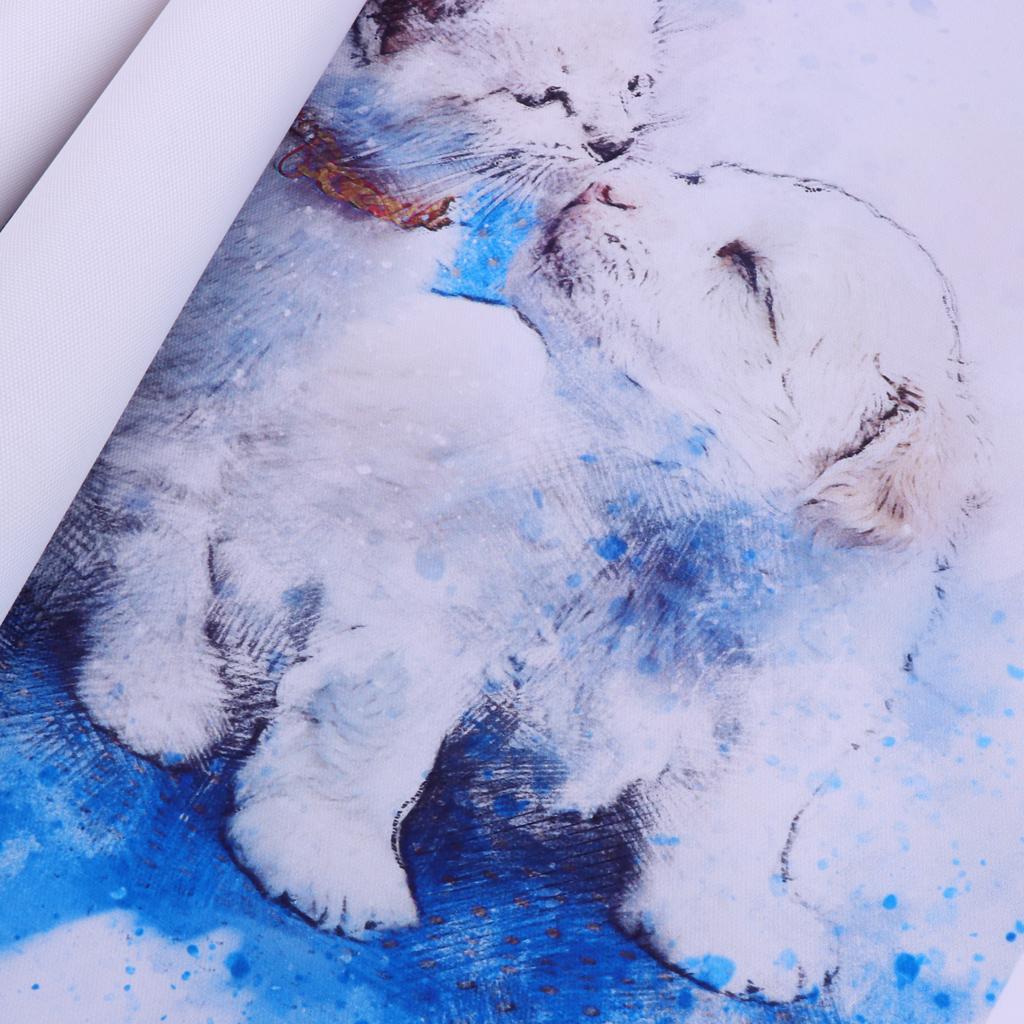 3Pcs Modern Art Oil Painting Canvas Picture Dog Cat Wall Home Decor 30x30cm