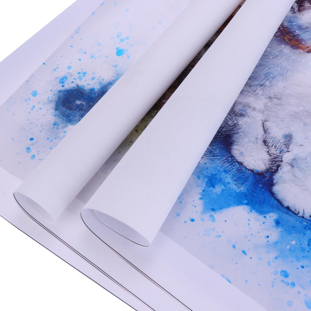 3Pcs Modern Art Oil Painting Canvas Picture Dog Cat Wall Home Decor 40x40cm
