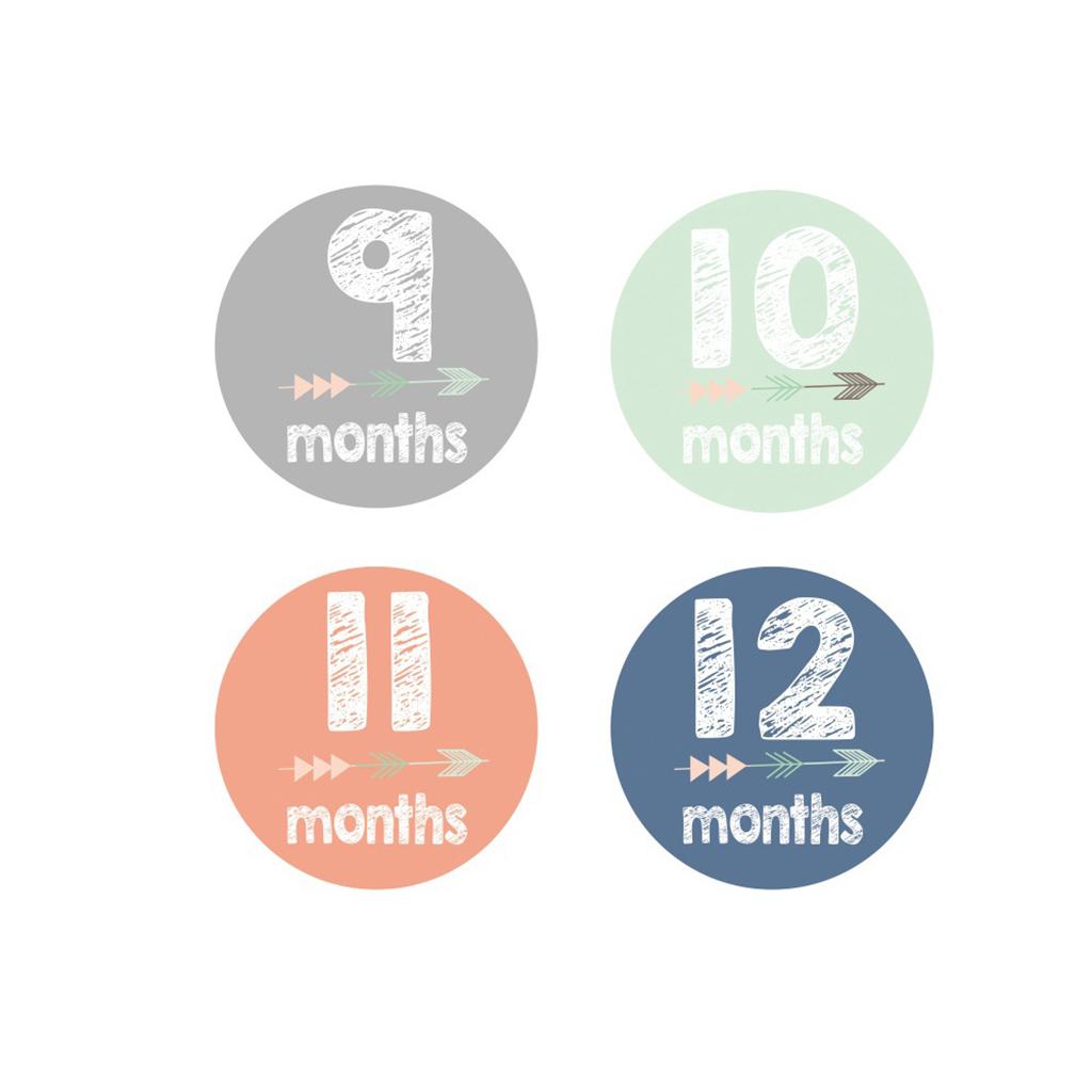 Monthly Baby Stickers Baby Boys Girls 12 Months Milestone Stickers Style-1