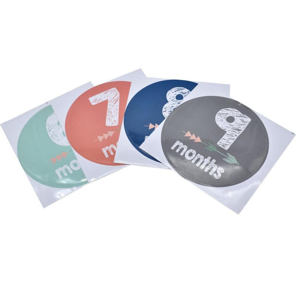 Monthly Baby Stickers Baby Boys Girls 12 Months Milestone Stickers Style-1