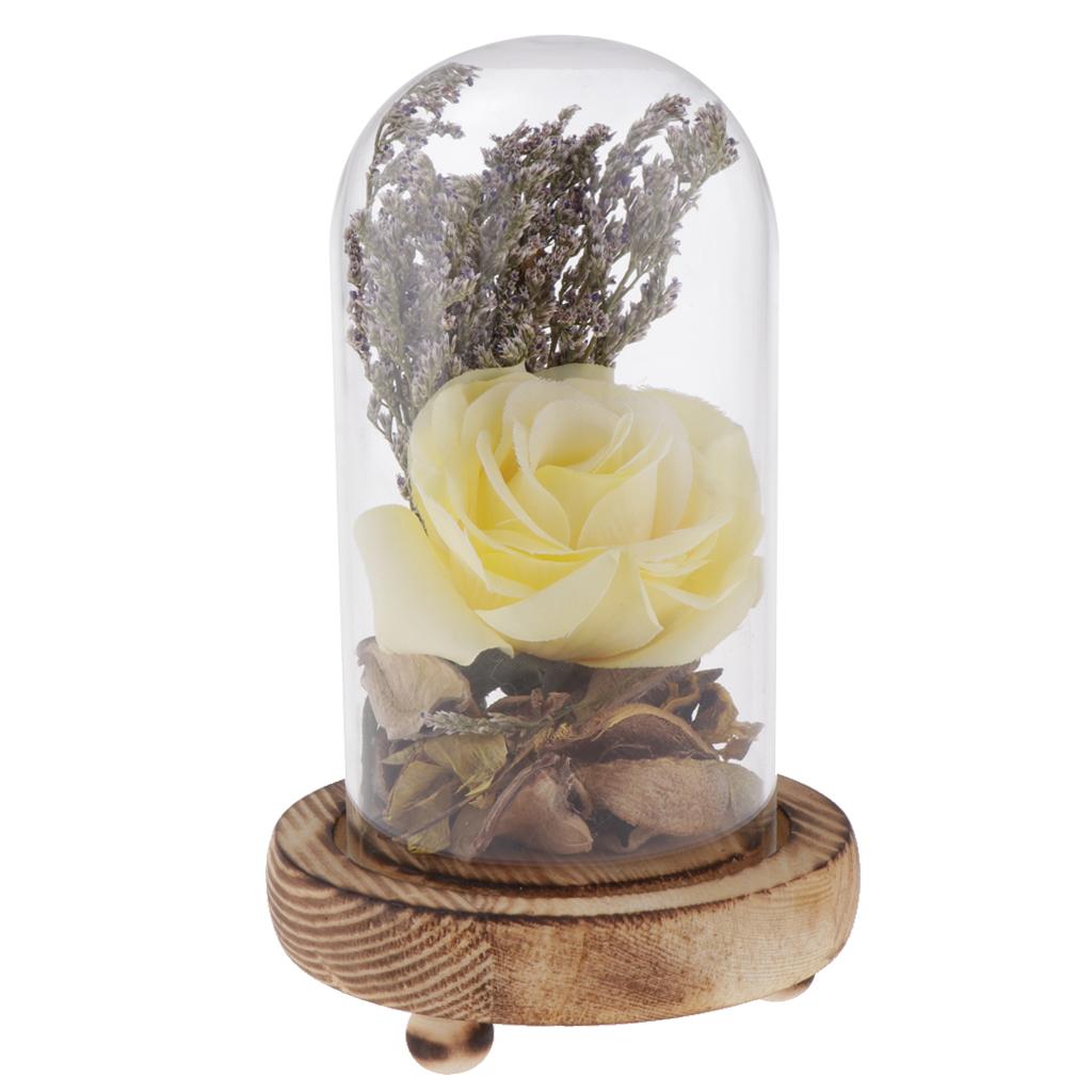 Glass Display Cloche Bell Dome Flower Immortal Preservation Vase Yellow