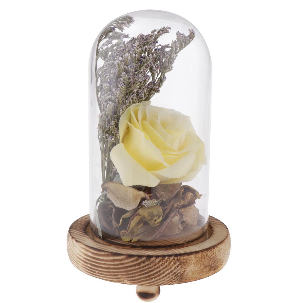 Glass Display Cloche Bell Dome Flower Immortal Preservation Vase Yellow