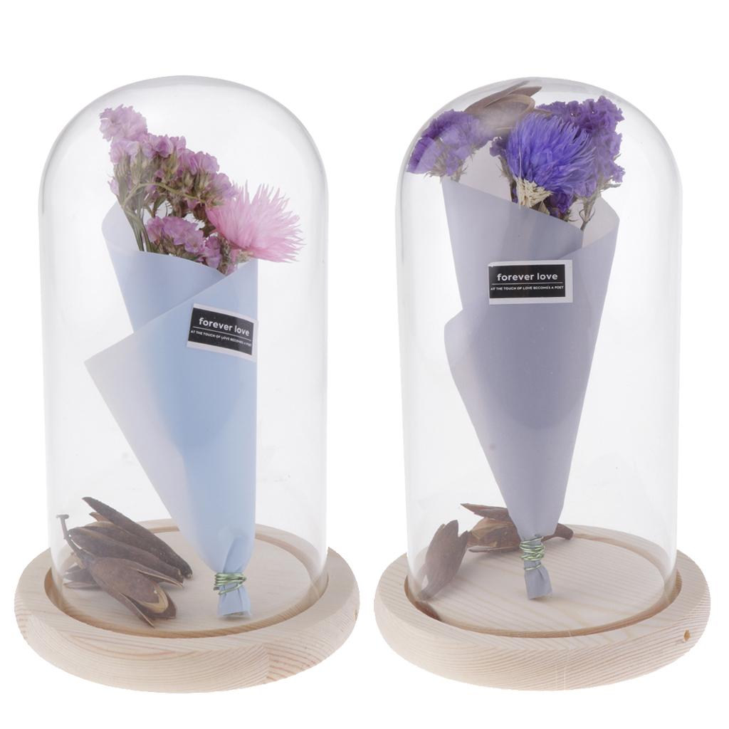 Romantic Dried Flower Plant Ornament Micro Landscape Terrarium Pnik
