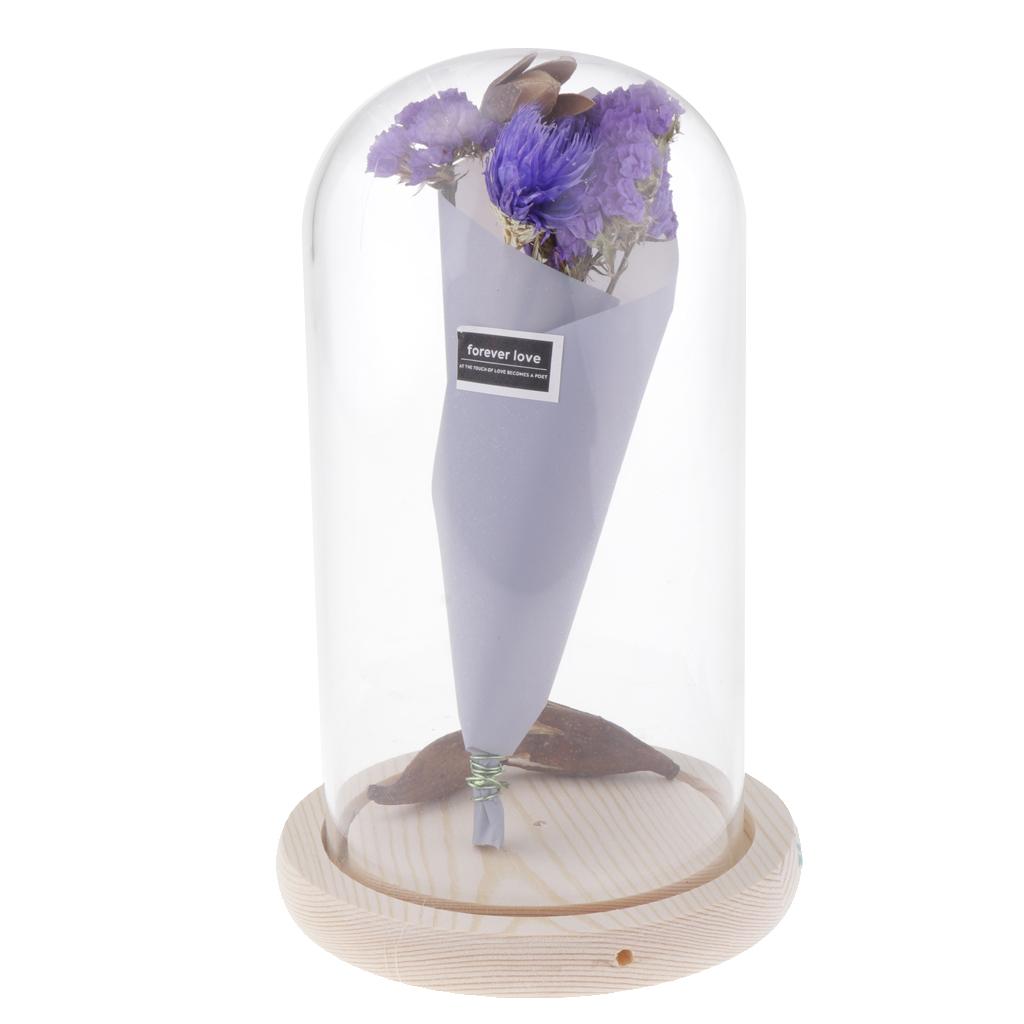 Romantic Dried Flower Plant Ornament Micro Landscape Terrarium Purple