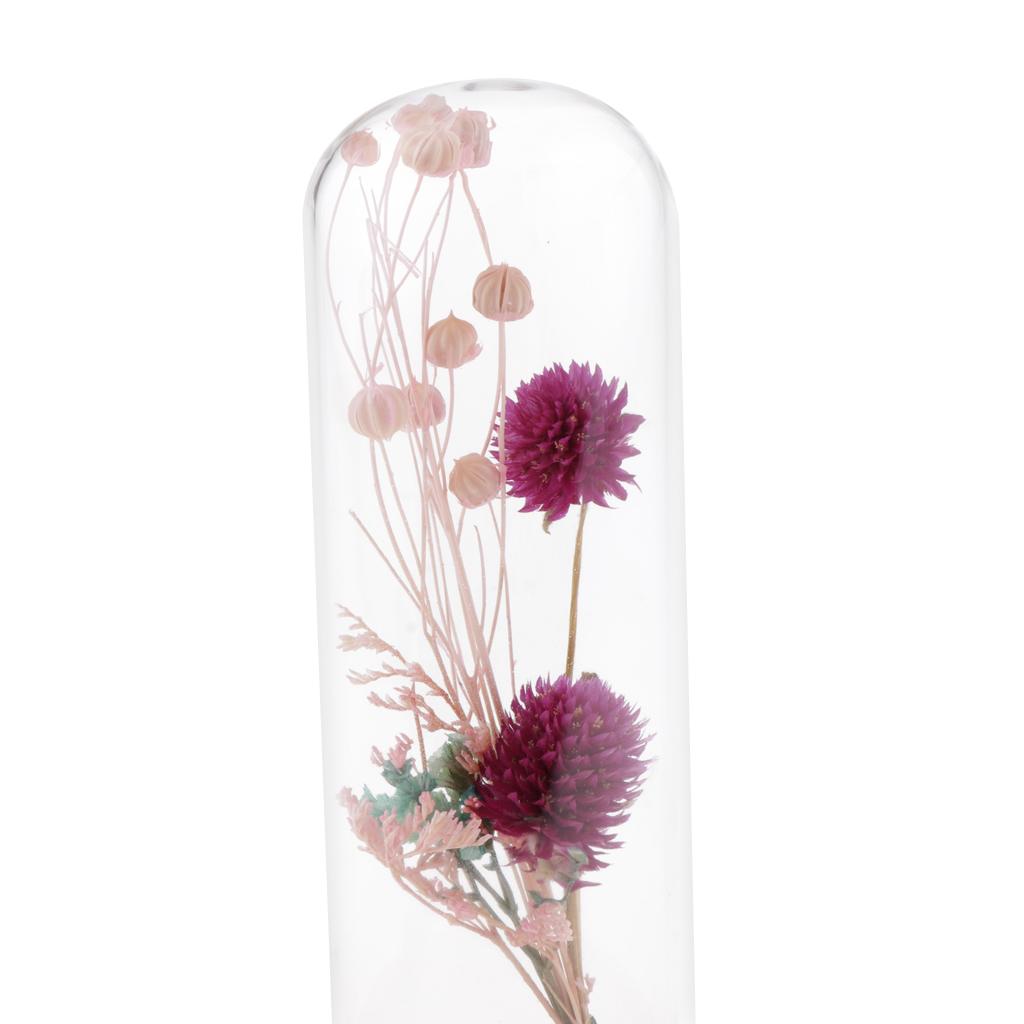 Romantic Dried Flower Plant Ornament Micro Landscape Glass Cover Purple