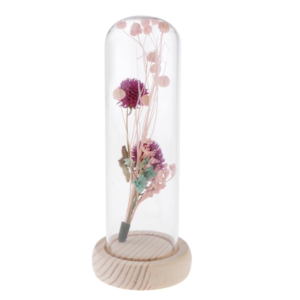 Romantic Dried Flower Plant Ornament Micro Landscape Glass Cover Purple