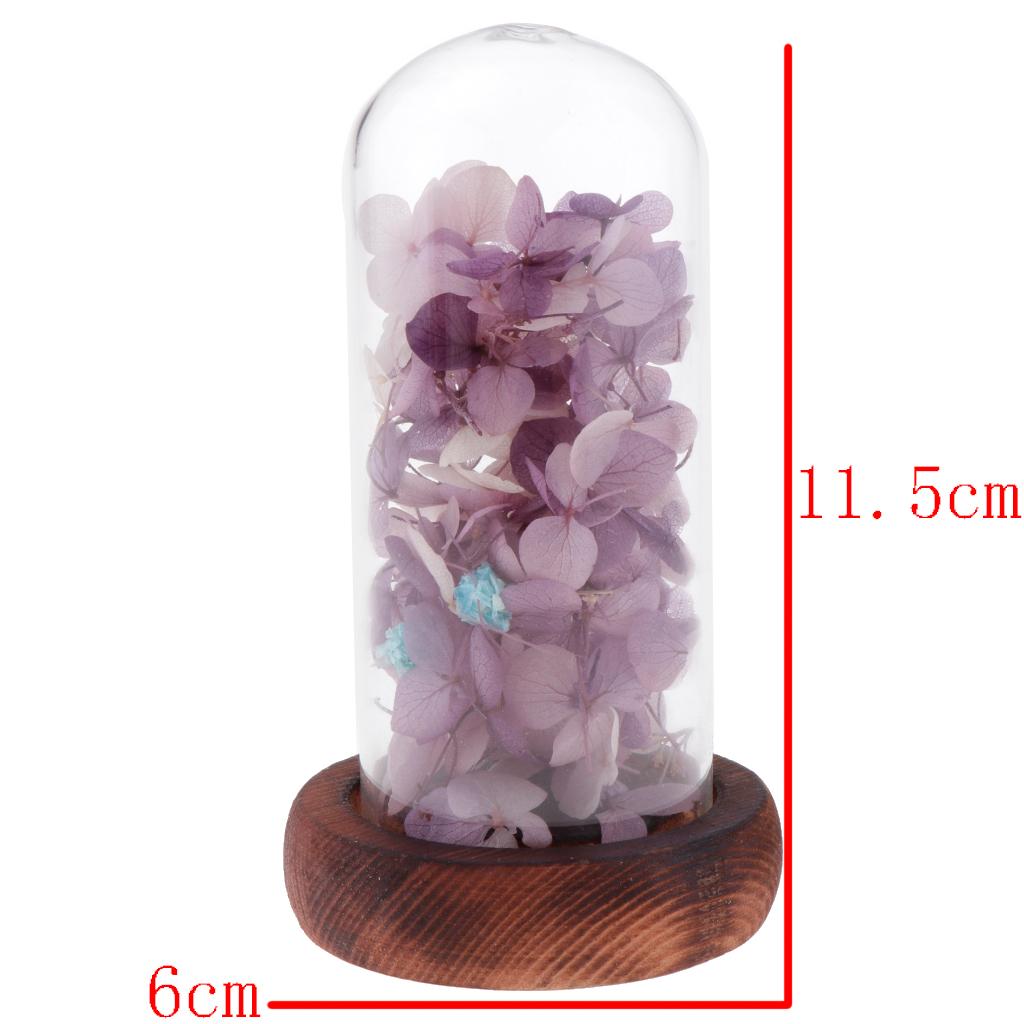 Wedding Preserved Hydrangea Flower Glass Display Valentines Gifts Purple