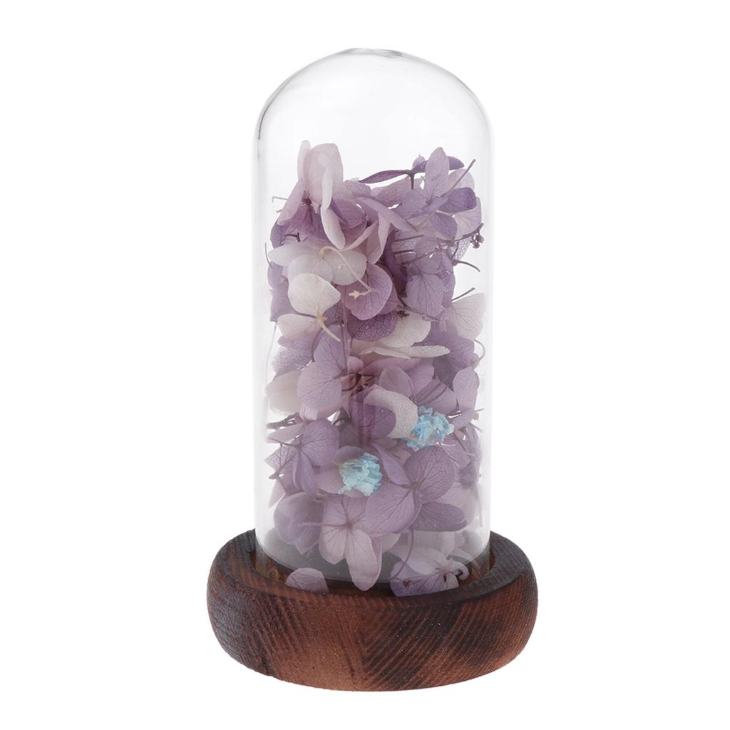 Wedding Preserved Hydrangea Flower Glass Display Valentines Gifts Purple