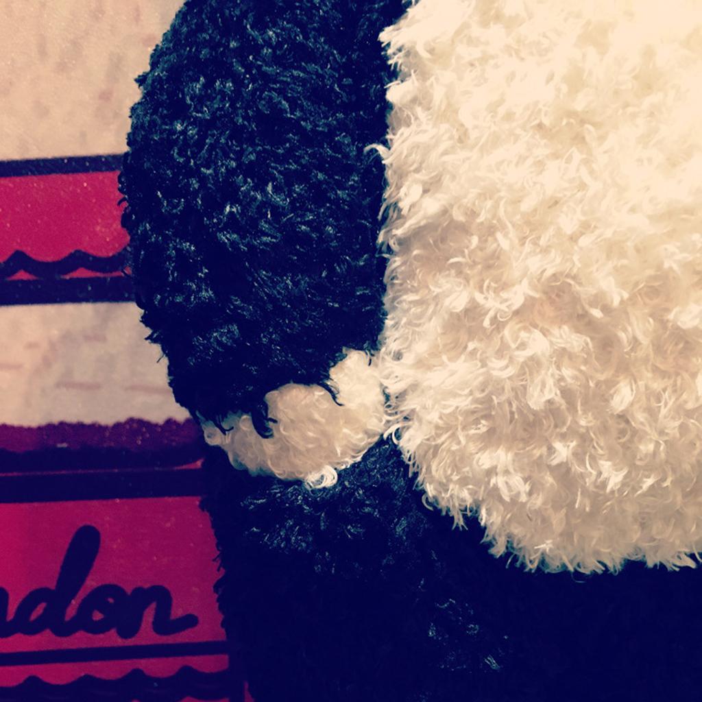 Black Cat Plush Toy Stuffed Cat&Animal Doll for Kids Children Soft Chair Cushion