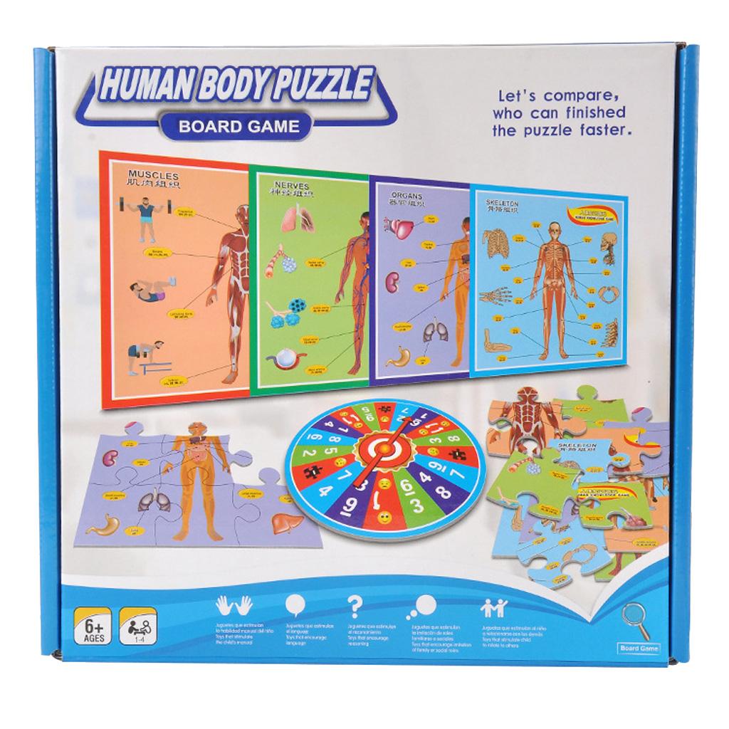 Interactive Educational Human Body Poster to Learn Body Parts for Kids