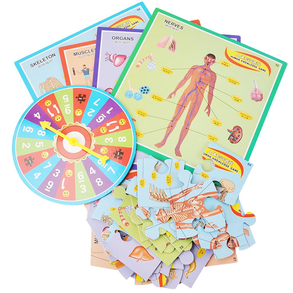 Interactive Educational Human Body Poster to Learn Body Parts for Kids