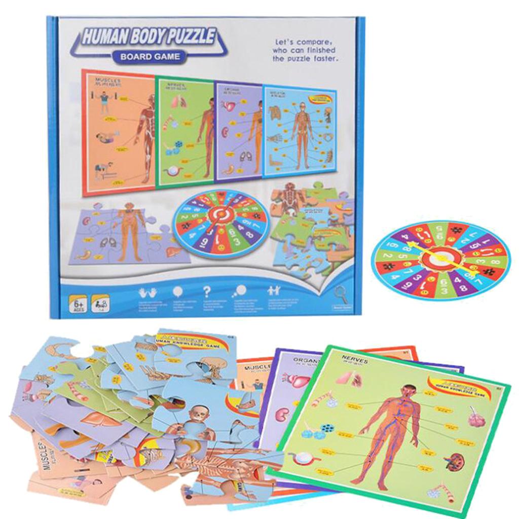 Interactive Educational Human Body Poster to Learn Body Parts for Kids