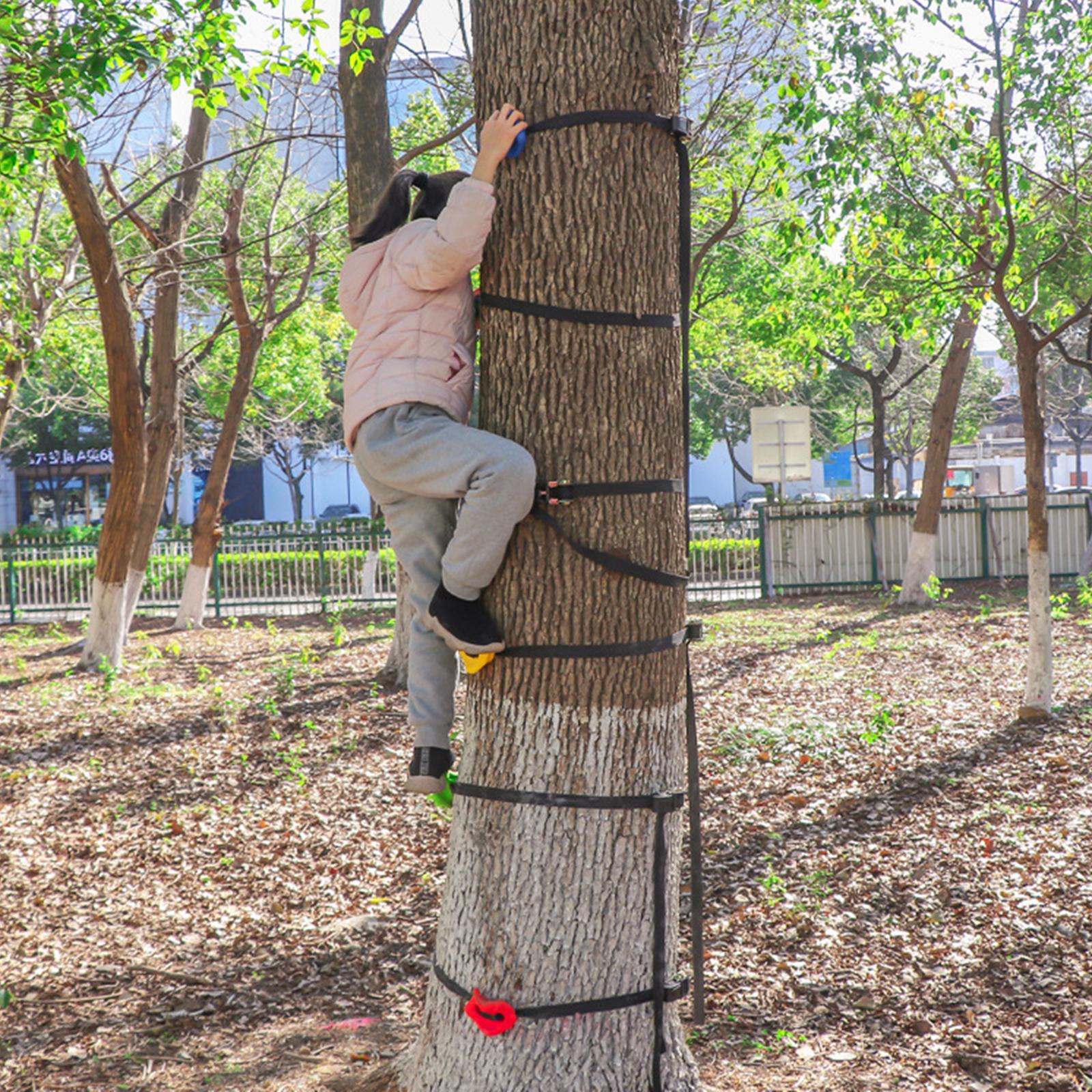 15Pcs Kids Tree Climbing Holds with 5 Ratchet Straps Hand Feet Hold Grip Kit