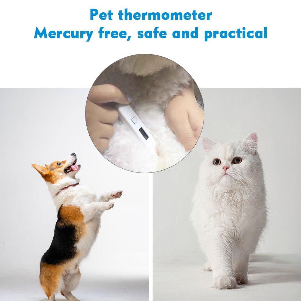 Digital Electronic Thermometer Portable Mouth/Underarm