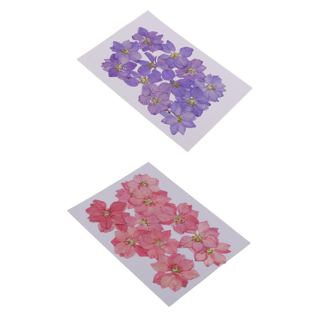 24 Pcs Pressed Flowers Dried Larkspur Decorative Dried Flowers Pink, Purple