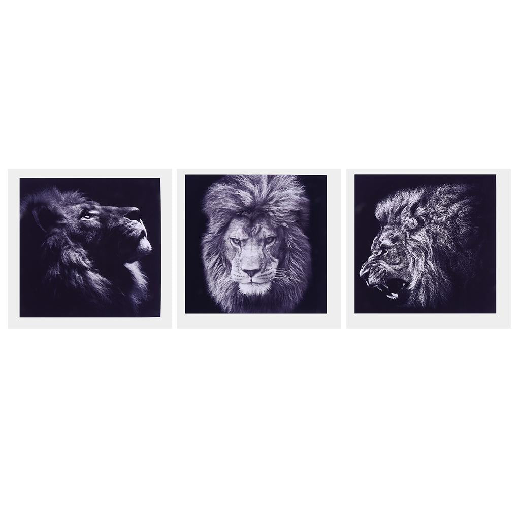 3 Panel Canvas Oil Painting, Artwork Picture Wall Art Decor Hanging Poster, Home Chic Decor - Lion