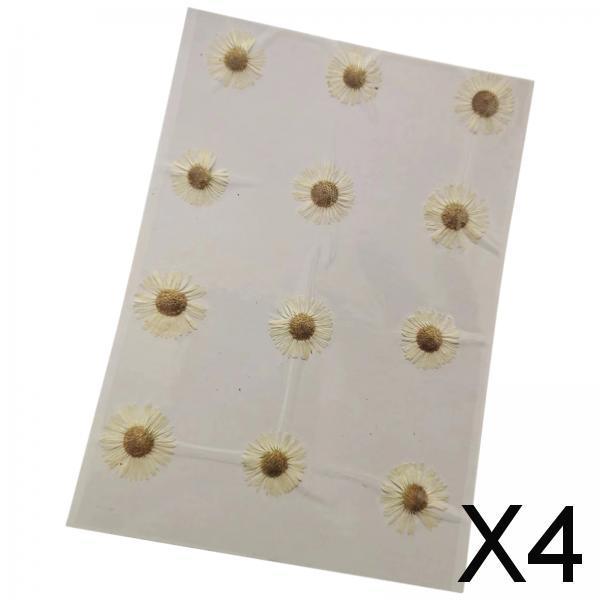 4x12x Dried Pressed Flowers DIY Art Crafts for Bookmarks Envelopes Soap Making White