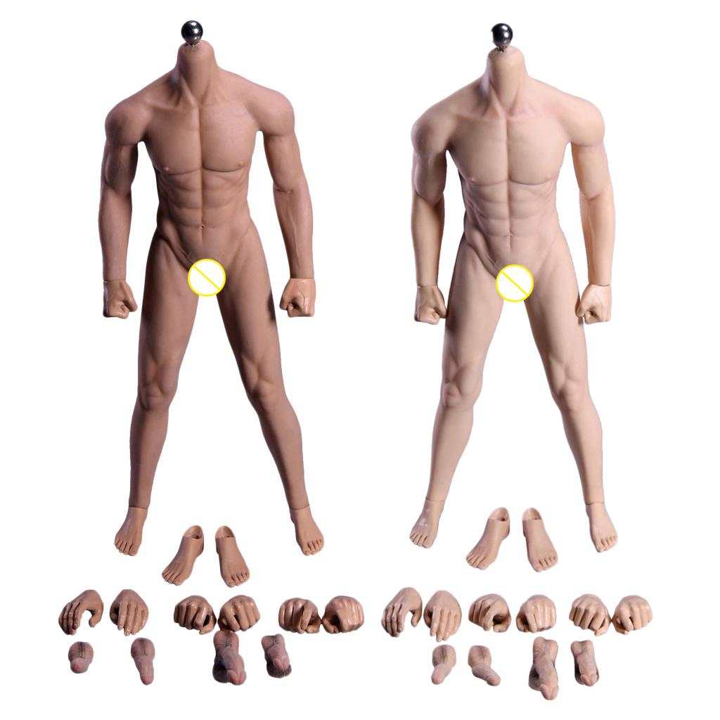 1/6 Super Flexible Male Seamless Body with Steel Skeleton Normal &Wheat Skin