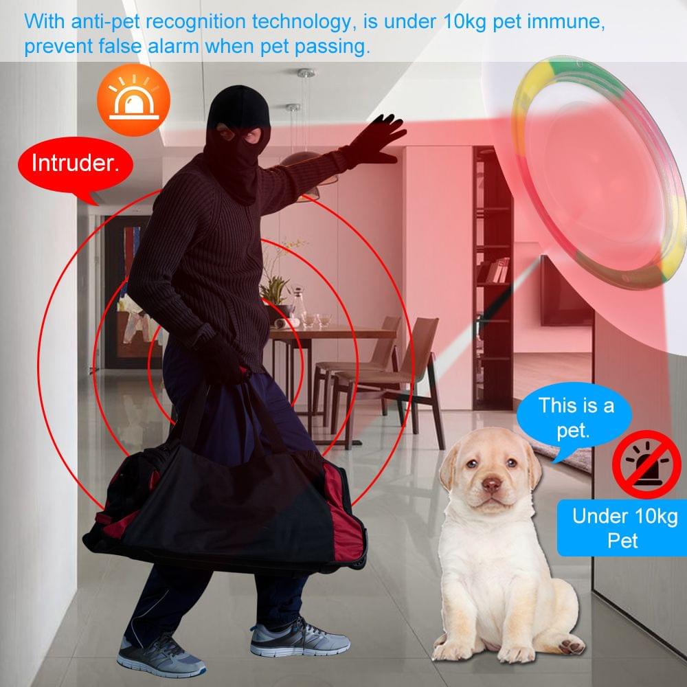 Wired Dual Passive Infrared and Microwave Detector