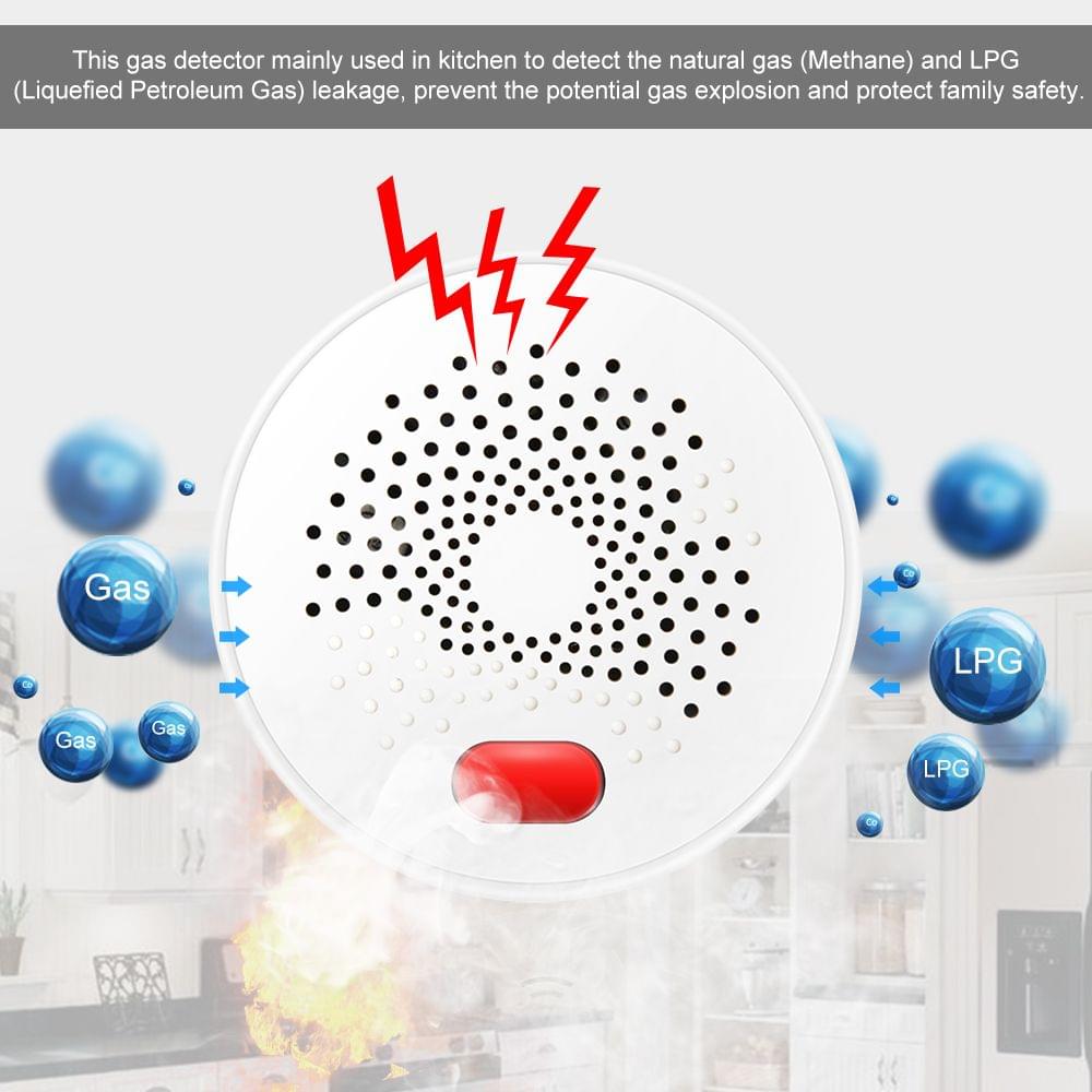 WIFI Gas Detector Household Combustible Gas Leak Detector - EU Plug