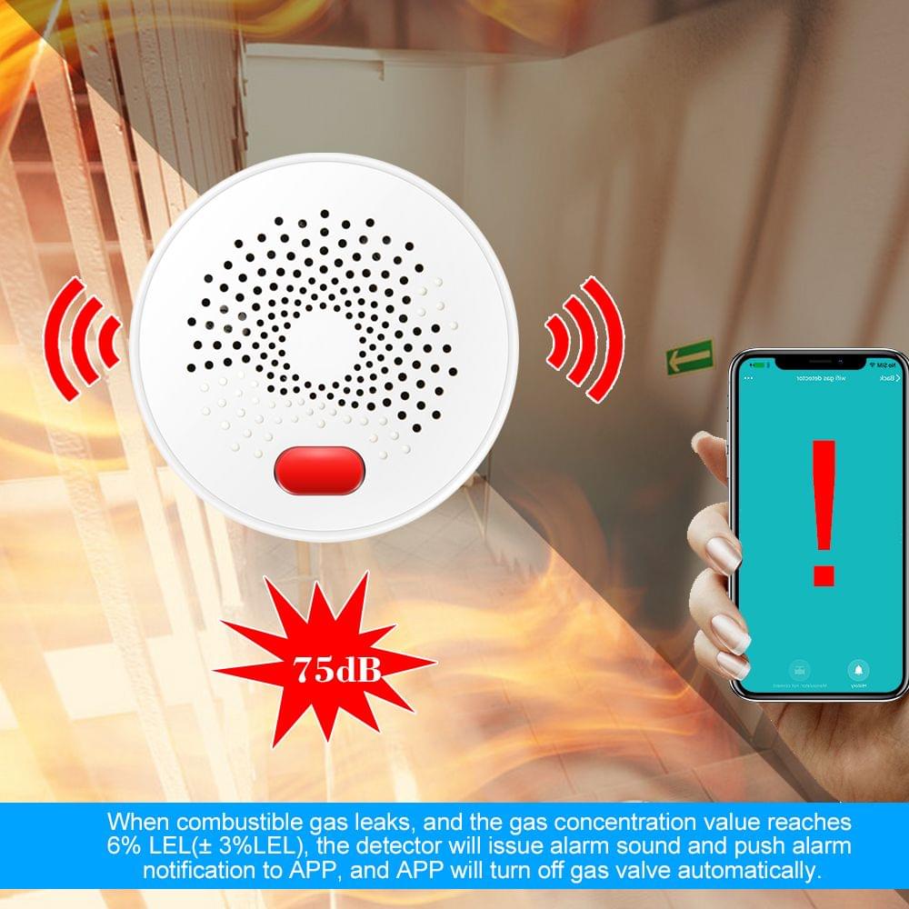 WIFI Gas Detector Household Combustible Gas Leak Detector - EU Plug
