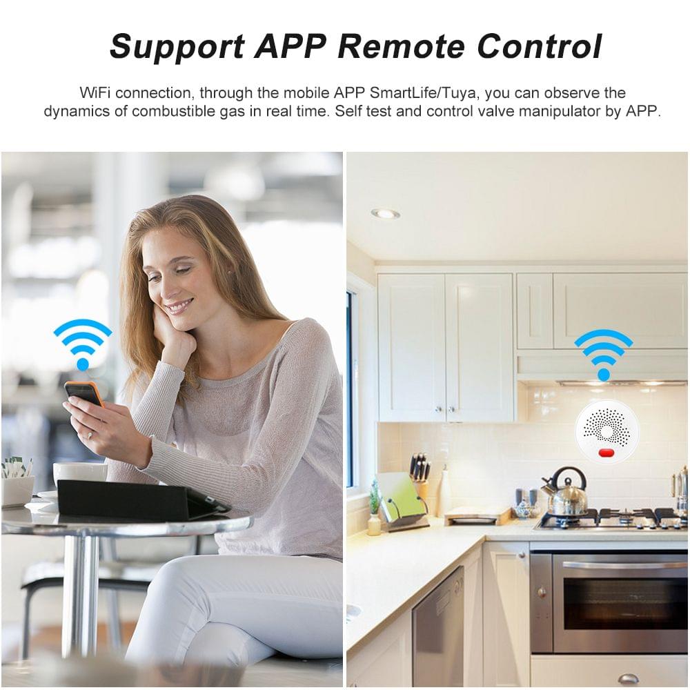 WIFI Gas Detector Household Combustible Gas Leak Detector - EU Plug