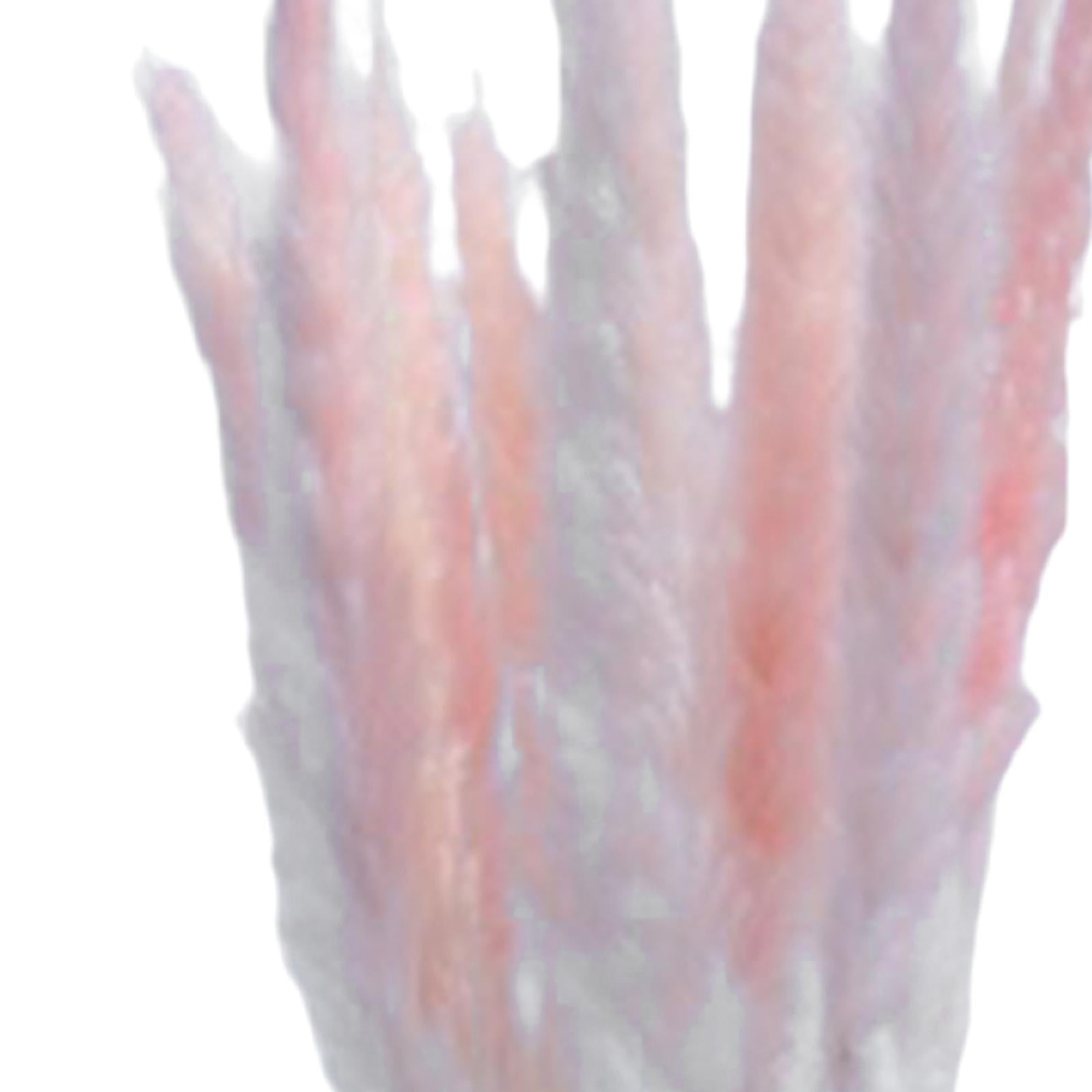15Pcs 45cm Dried Pampas Grass Flower Arrangement Reed Plumes Flower Pink