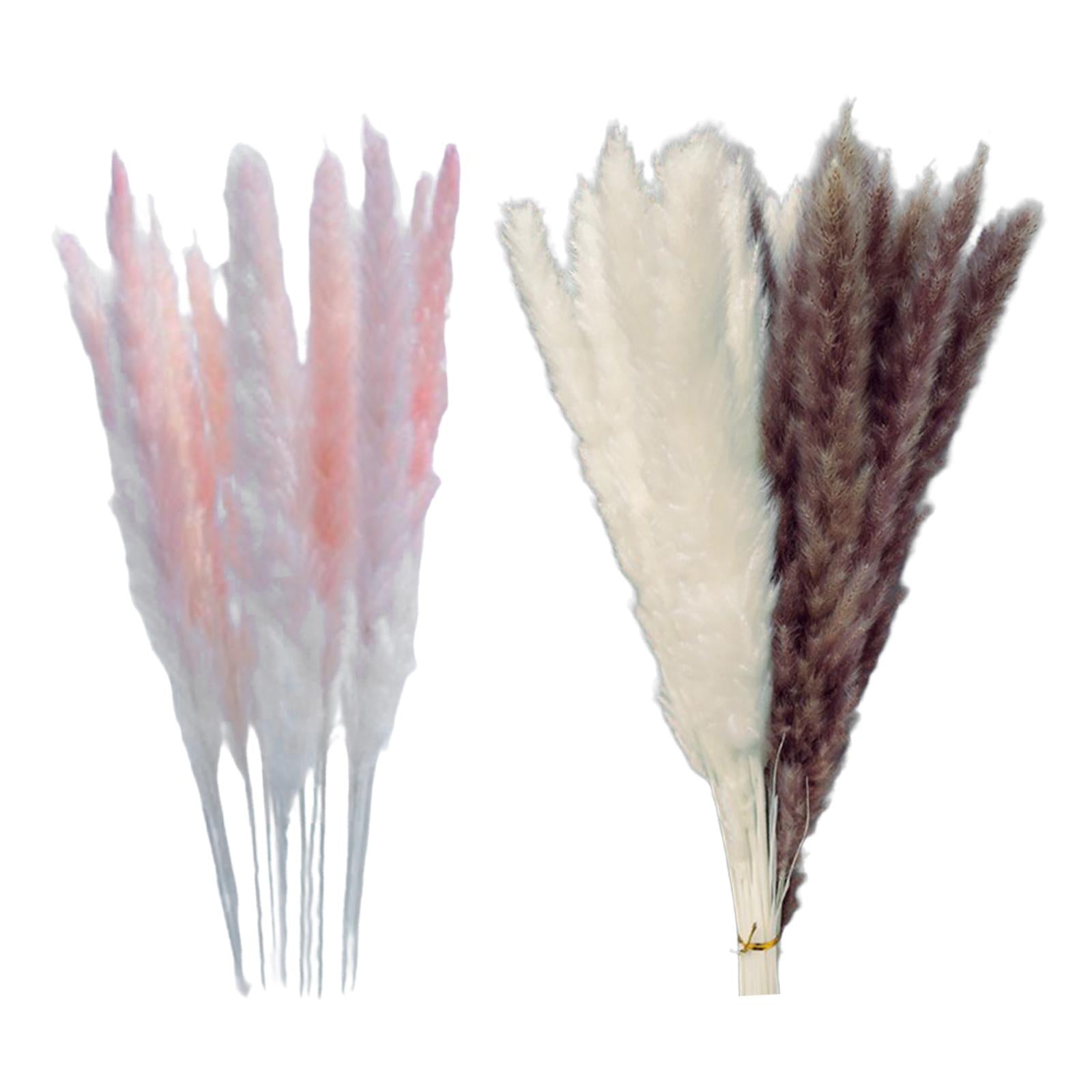 15Pcs 45cm Dried Pampas Grass Flower Arrangement Reed Plumes Flower Pink