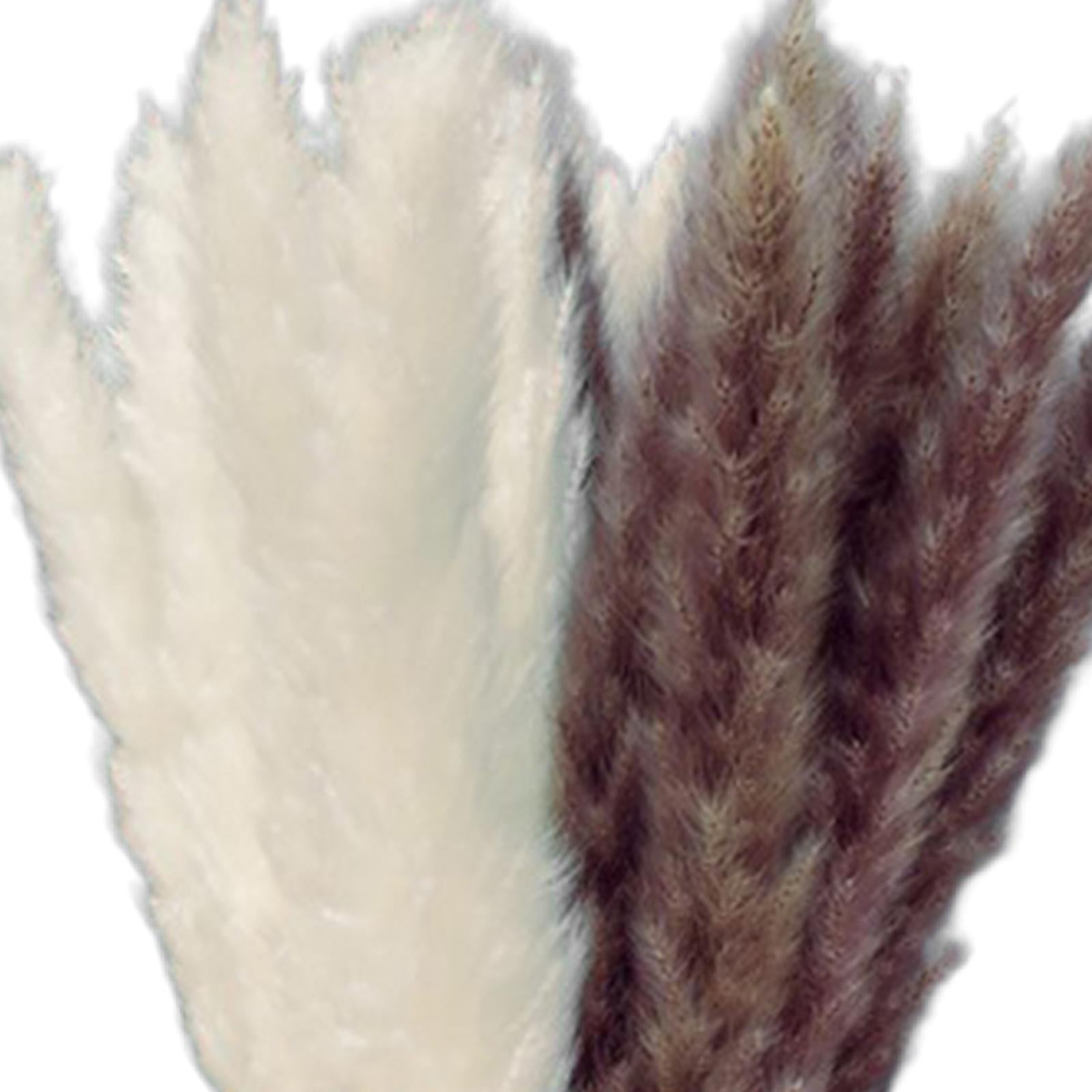 15Pcs 45cm Dried Pampas Grass Flower Arrangement Reed Plumes Flower 2 Colors