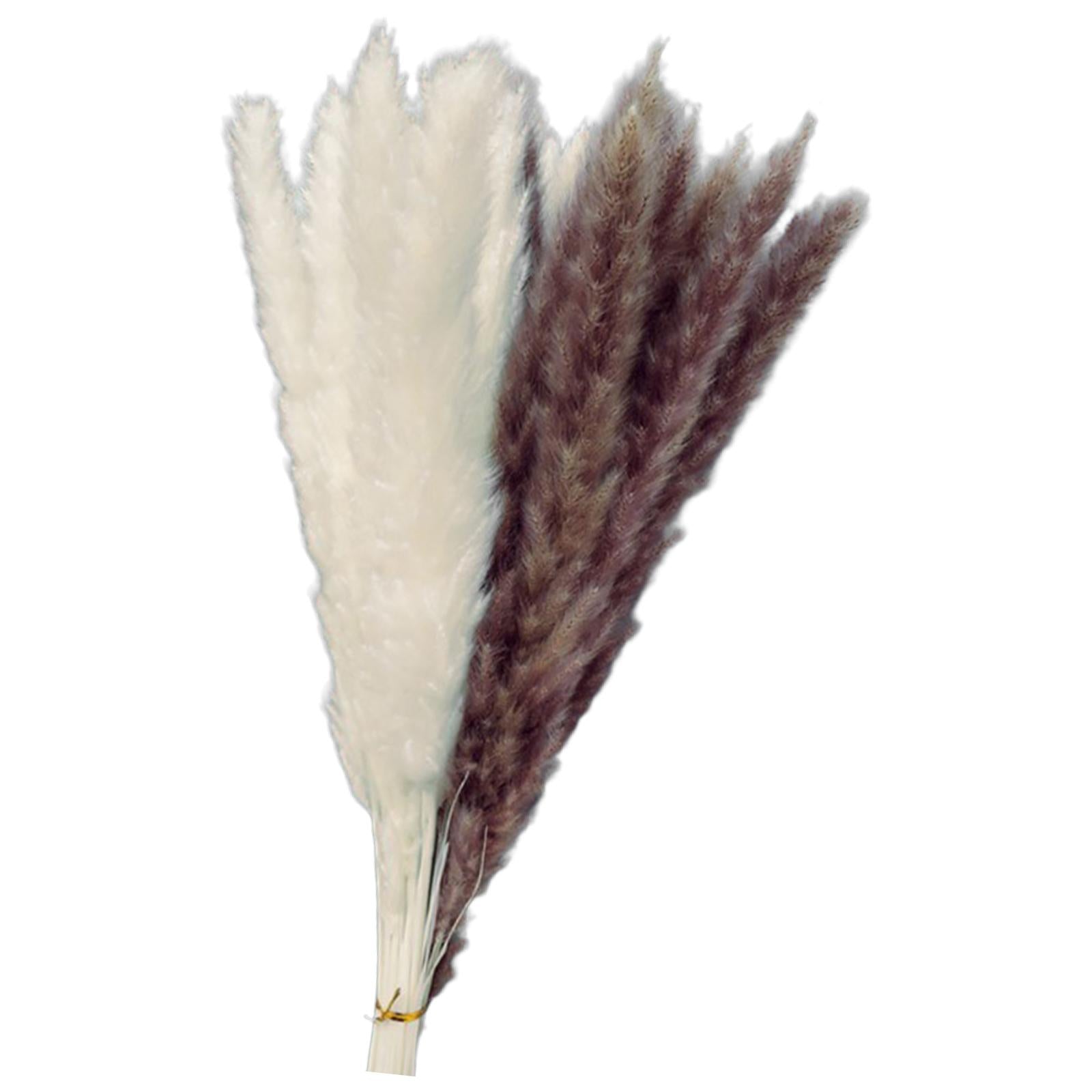 15Pcs 45cm Dried Pampas Grass Flower Arrangement Reed Plumes Flower 2 Colors