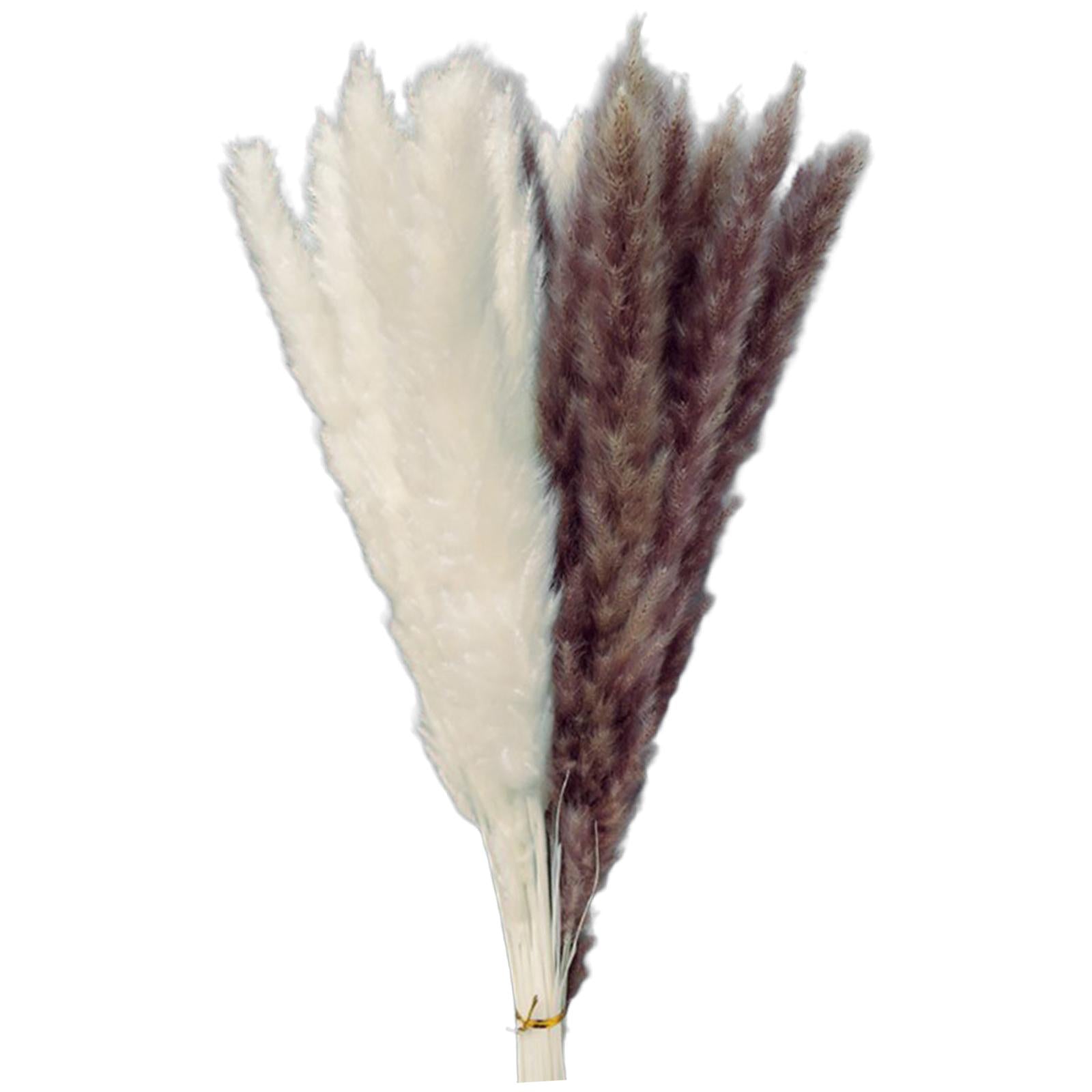 15Pcs 45cm Dried Pampas Grass Flower Arrangement Reed Plumes Flower 2 Colors