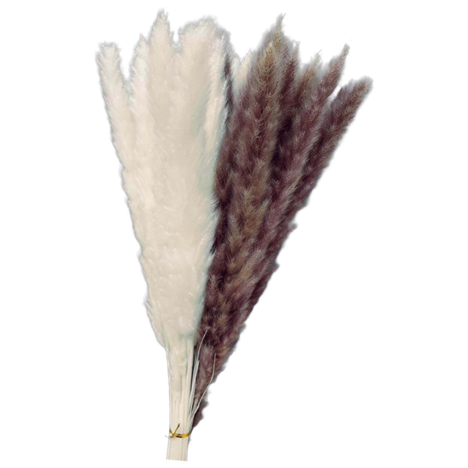 15Pcs 45cm Dried Pampas Grass Flower Arrangement Reed Plumes Flower 2 Colors