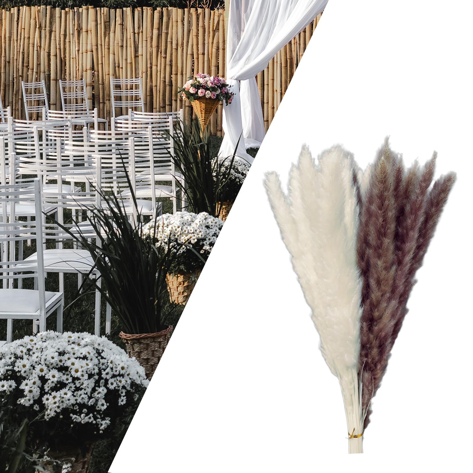 15Pcs 45cm Dried Pampas Grass Flower Arrangement Reed Plumes Flower 2 Colors