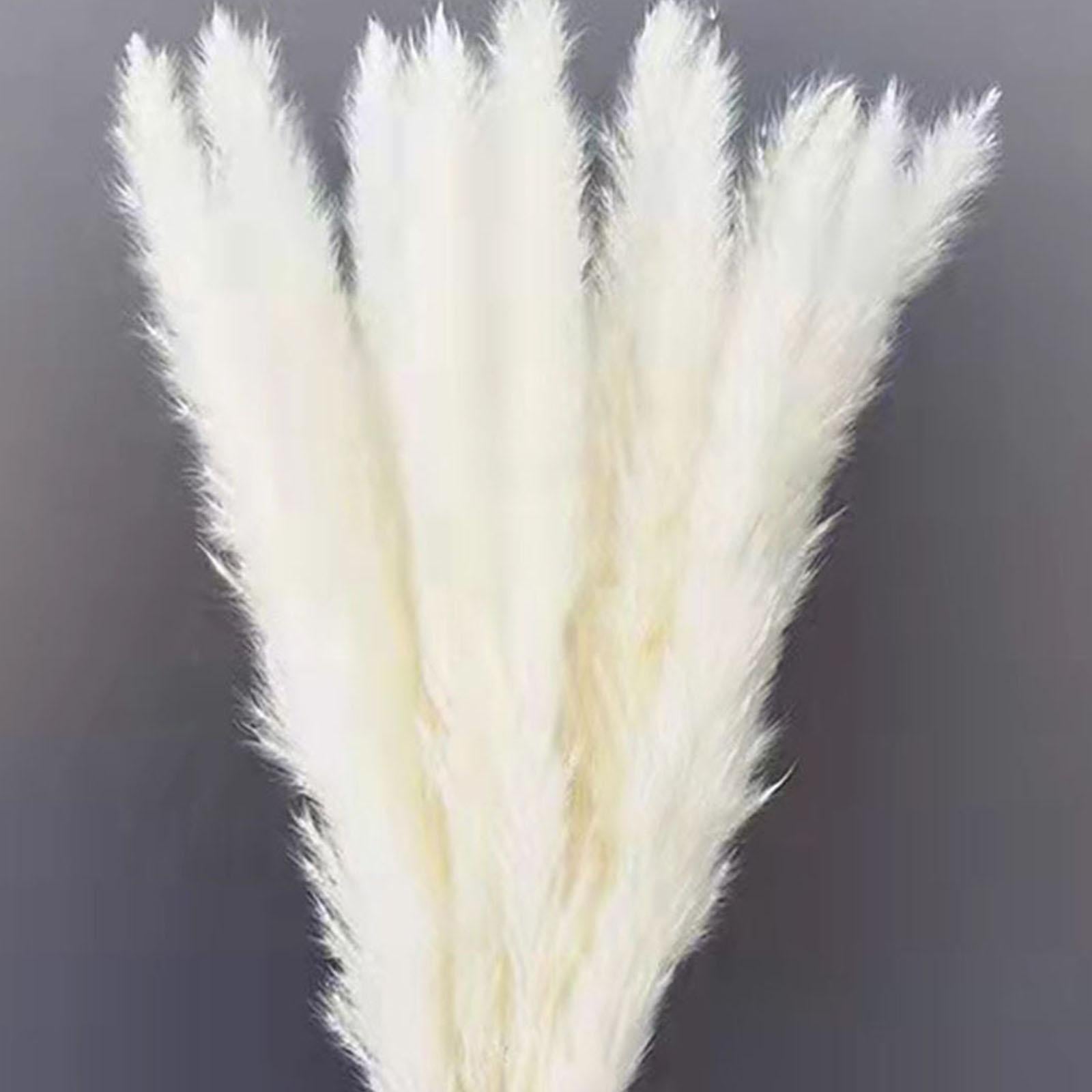 15Pcs Dried Pampas Grass Branches 50cm for Boho Home Decor Wedding Party