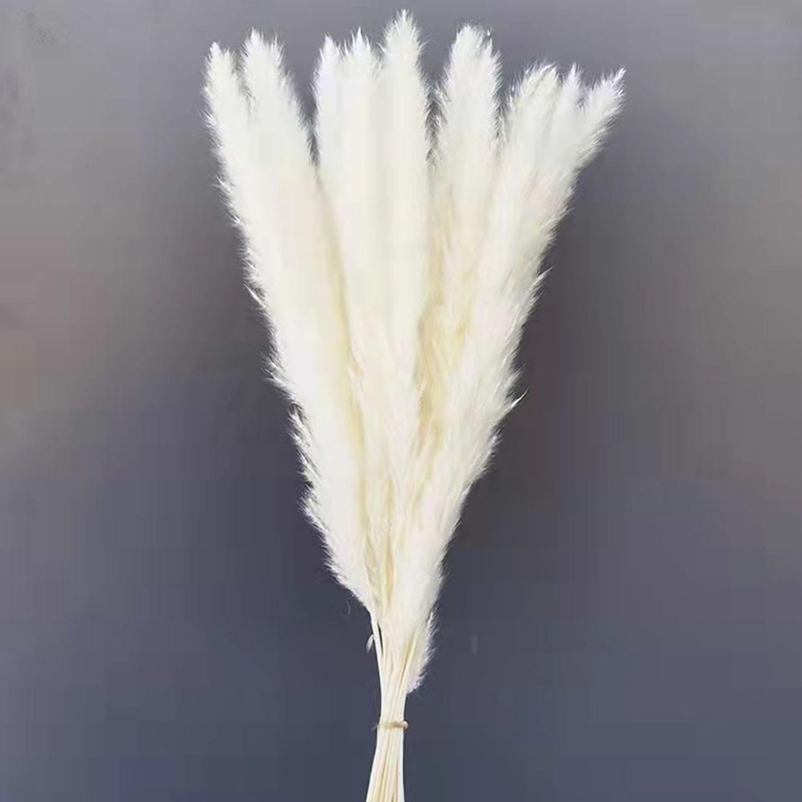 15Pcs Dried Pampas Grass Branches 50cm for Boho Home Decor Wedding Party