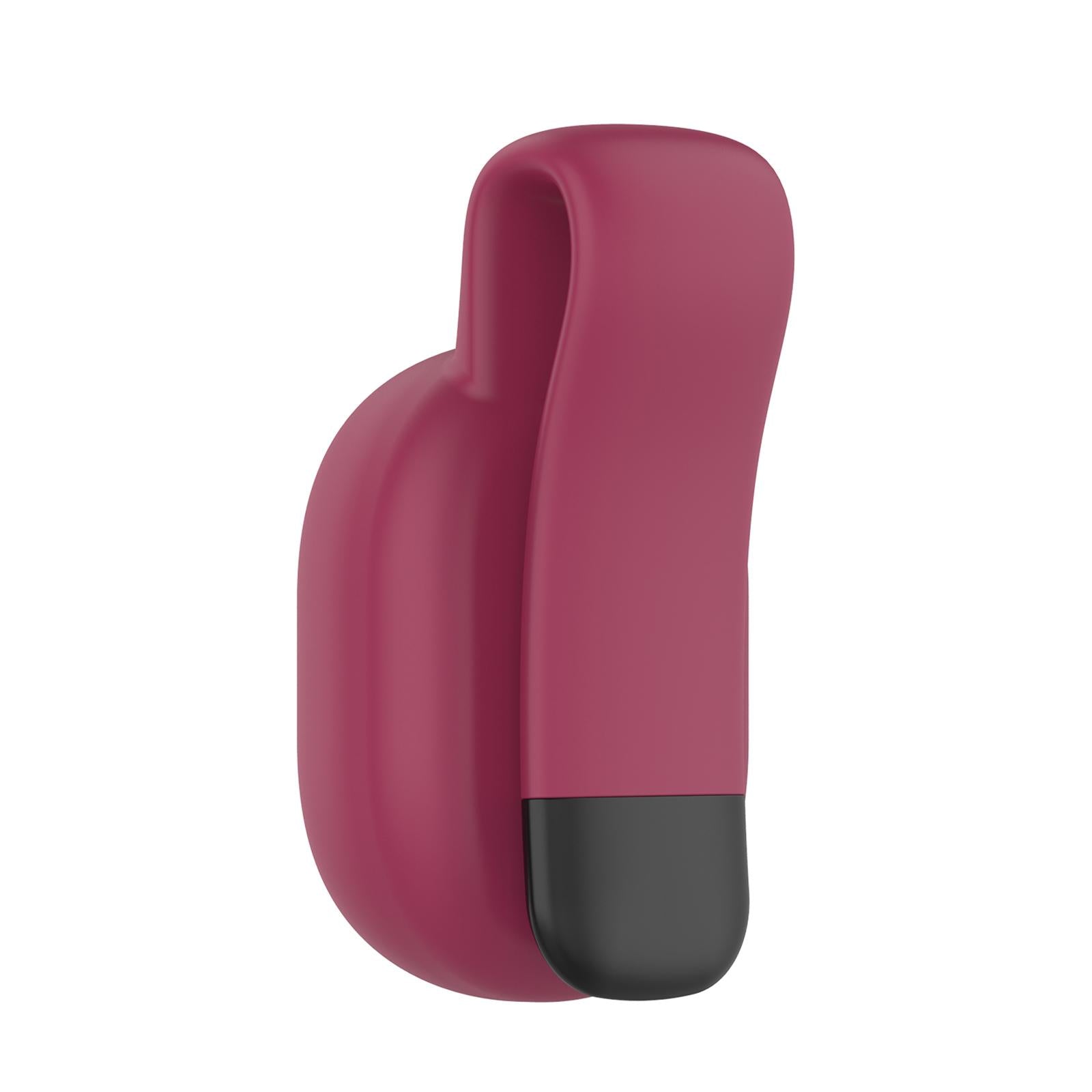 RDP Steel Clip Holder Buckle Clamps for Garmin Running Dynamics Pod Sensor Wine Red