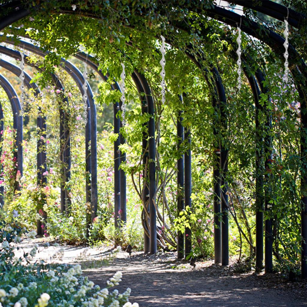 6/8Pcs Bird Scare Rods Bird Repeller for Pest Agricultural Garden Sparrows A