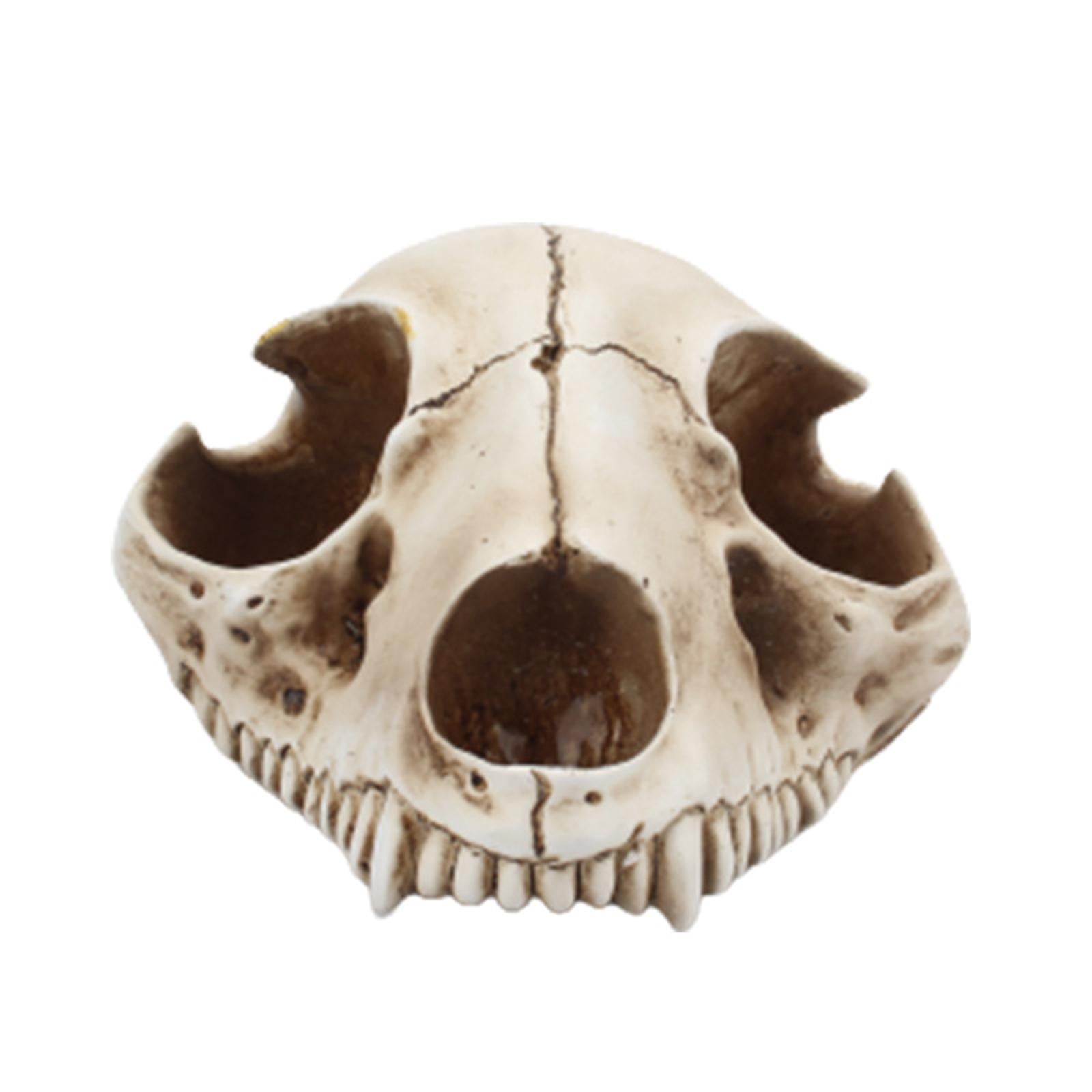 Spice Bottle with Bone Seasoning Rack for Kitchen Restaurant Decor