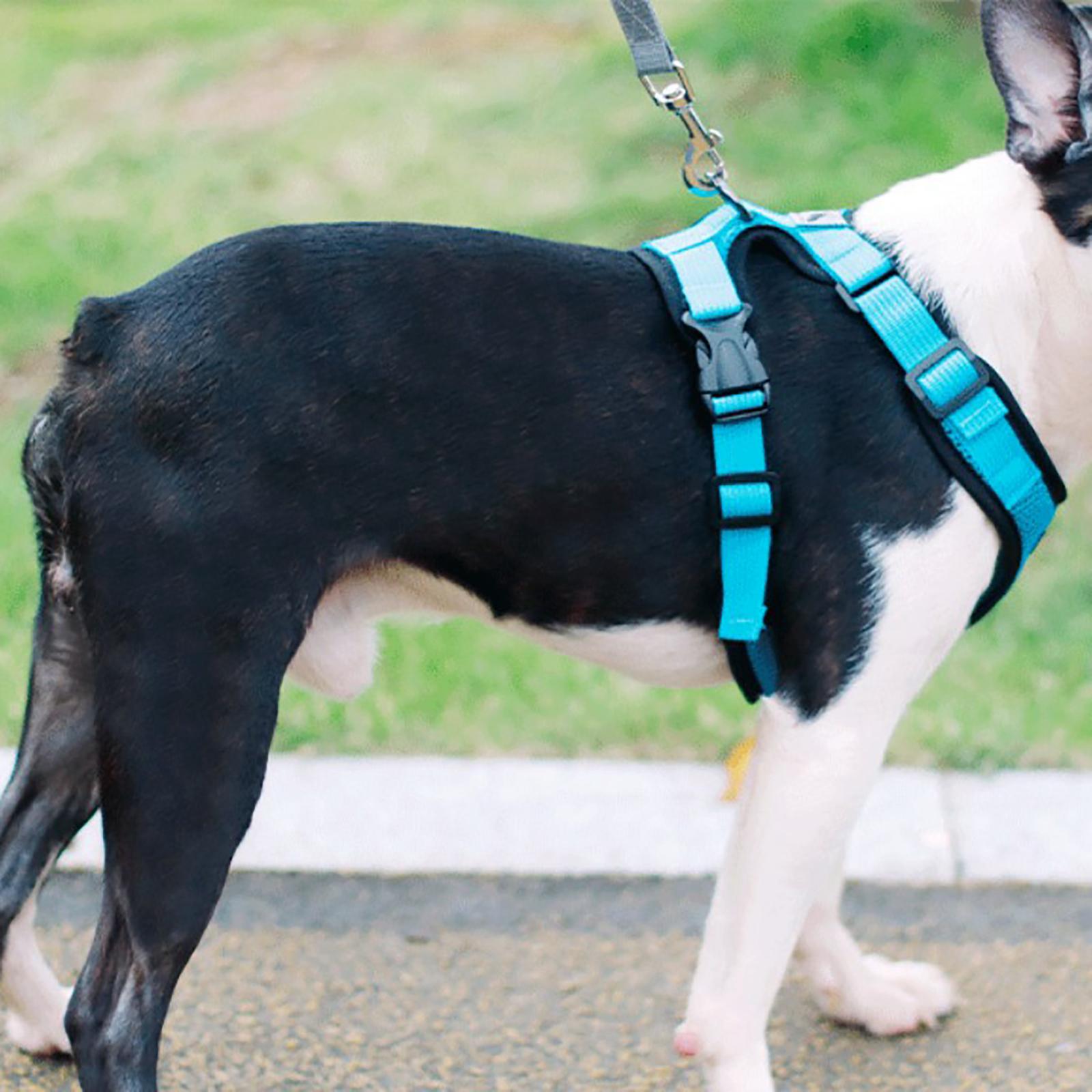 Reflective Dog Harness No Pull Vest Rope for Running Outdoor Lead Walking Blue XL