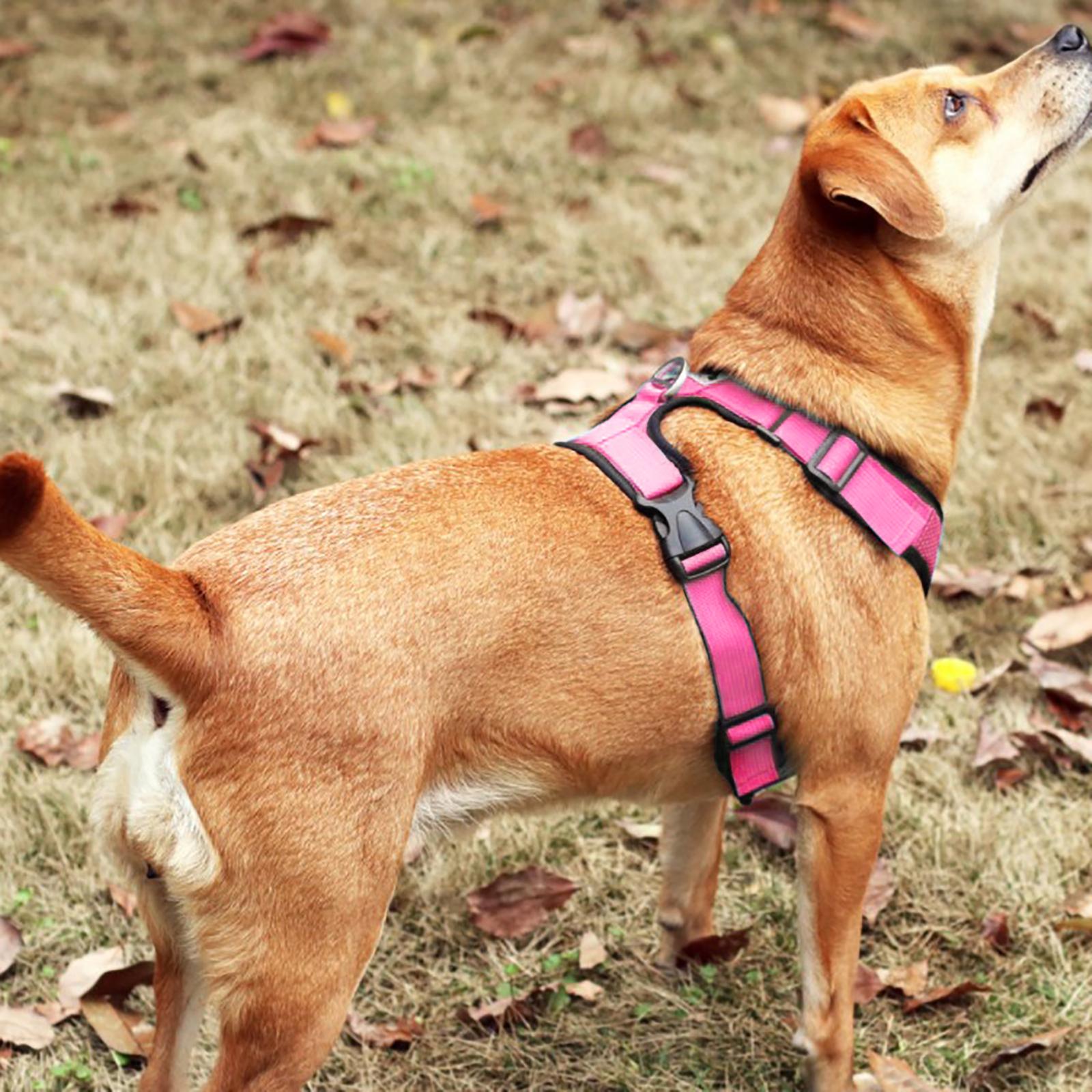 Reflective Dog Harness No Pull Vest Rope for Running Outdoor Lead Walking Pink XL